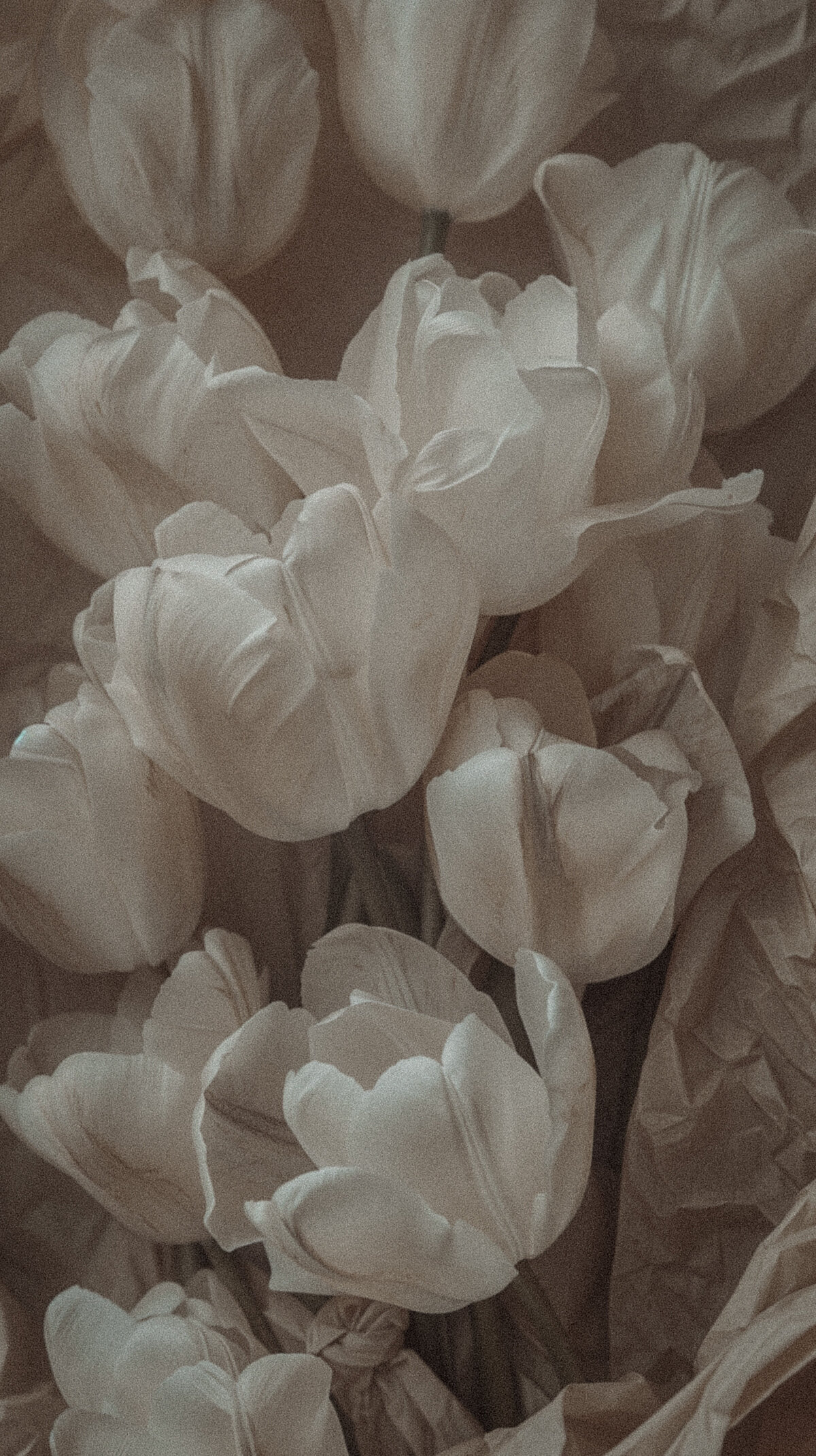 60390a76-1e6b-4f40-9269-79e8be693811