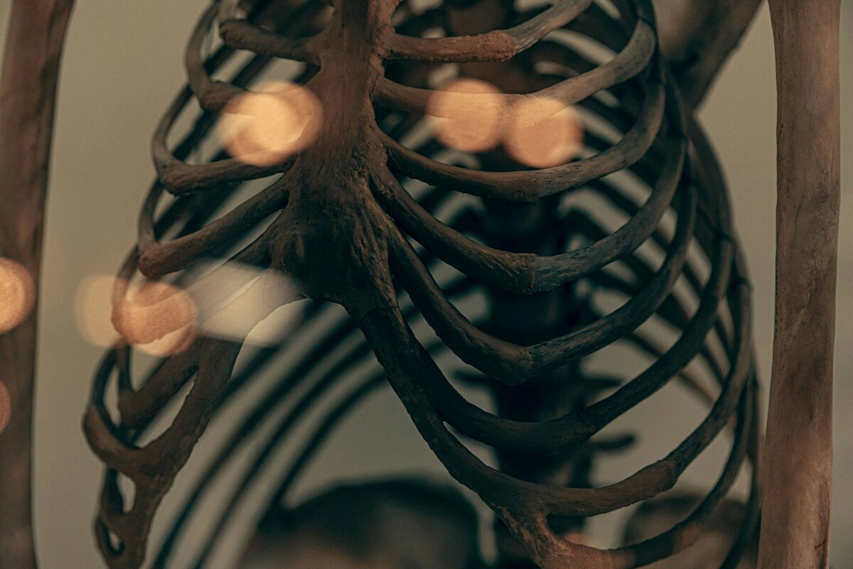 julia-kadel-OM37UCzvUgg-unsplash