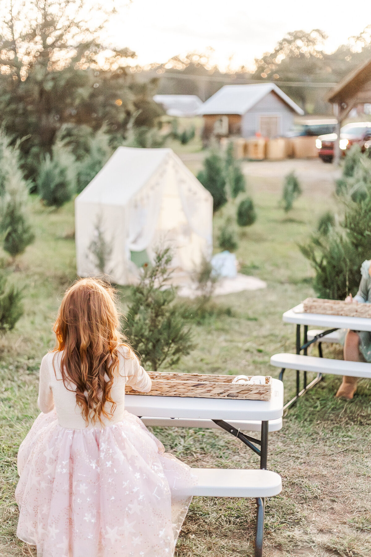 Behind the scenes Reindeer minis- Old Baker Farm- Harpersville, AL- 5UPhotography--3