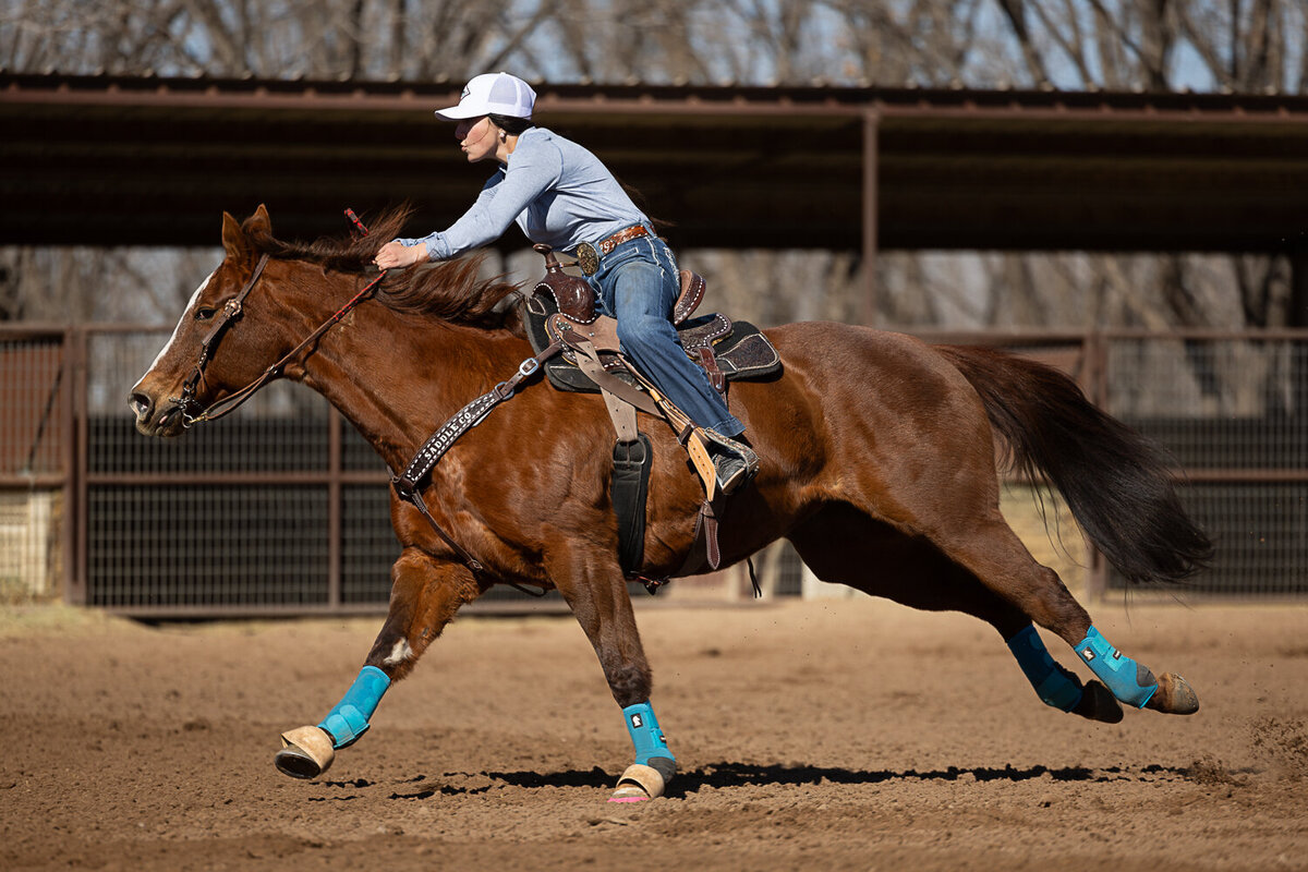 New-Mexico-Horse-Show-Photographer-009