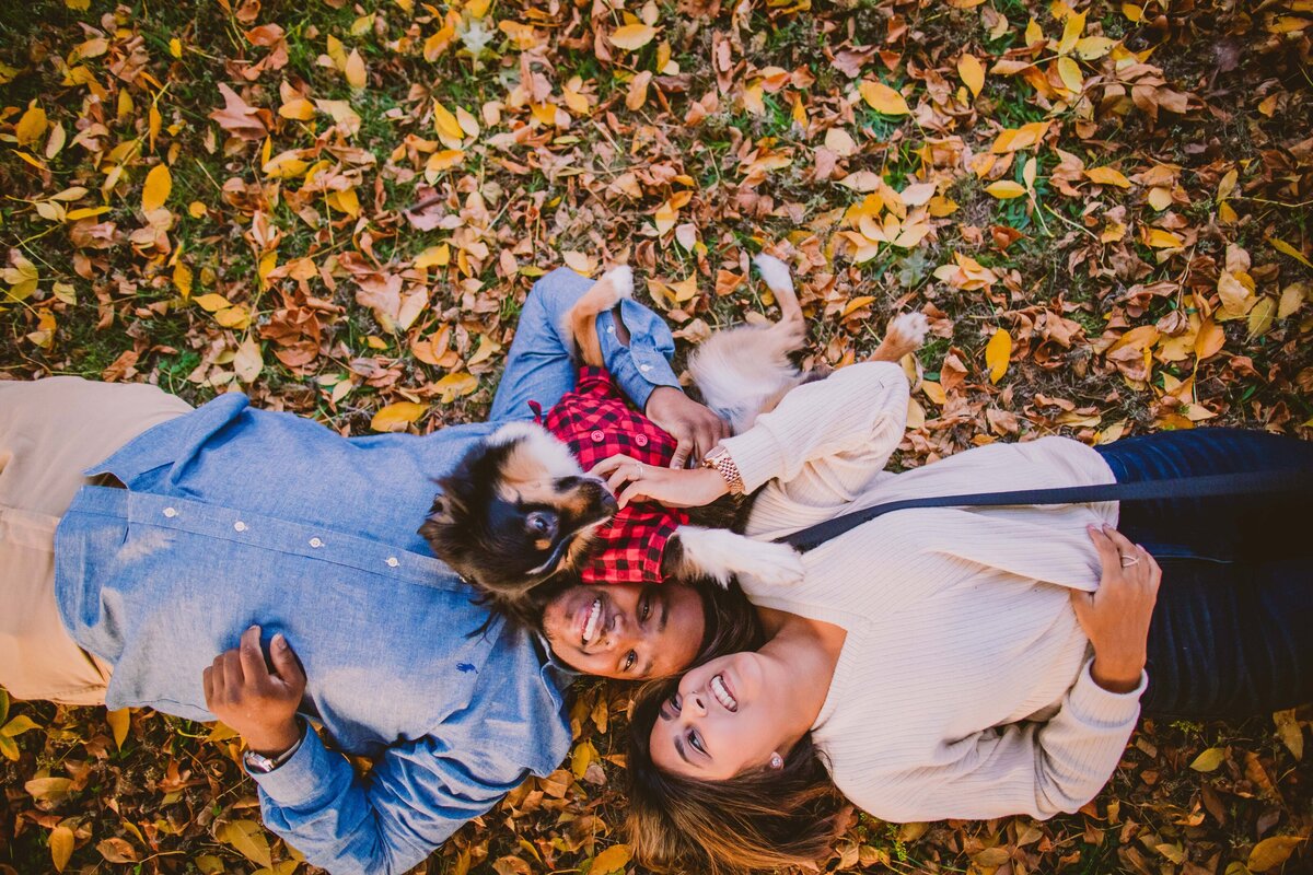 An engagement couple laying on top of fall leaves with their dog