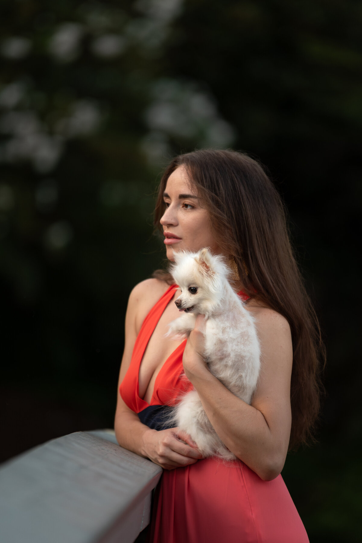 best raleigh pet photographer