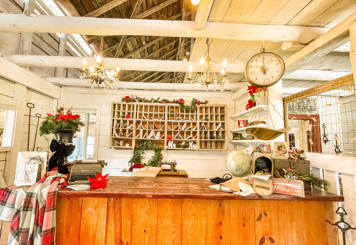 Mountain-Laurel-Farm-Christmas-Mini-Session-Photo-Venue225