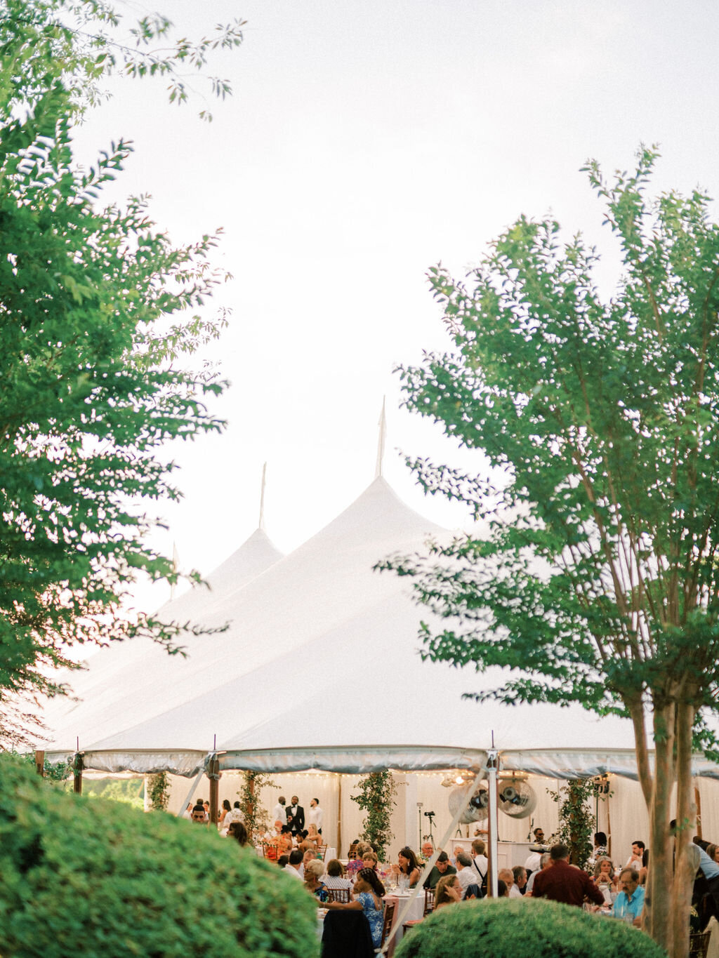 Erin&Austin_KeswickVineyardsWedding_SneakPeek-108