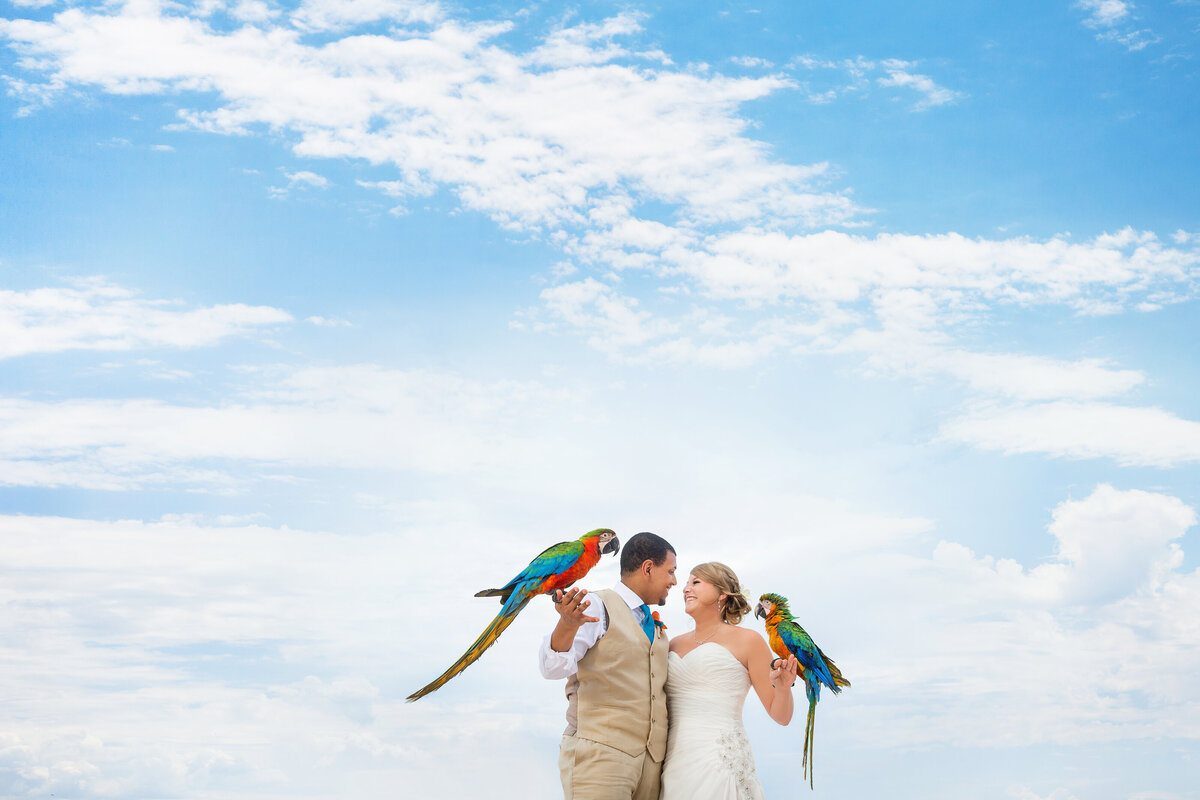 Elopement Photographer in London Ontario - One12 Photography32