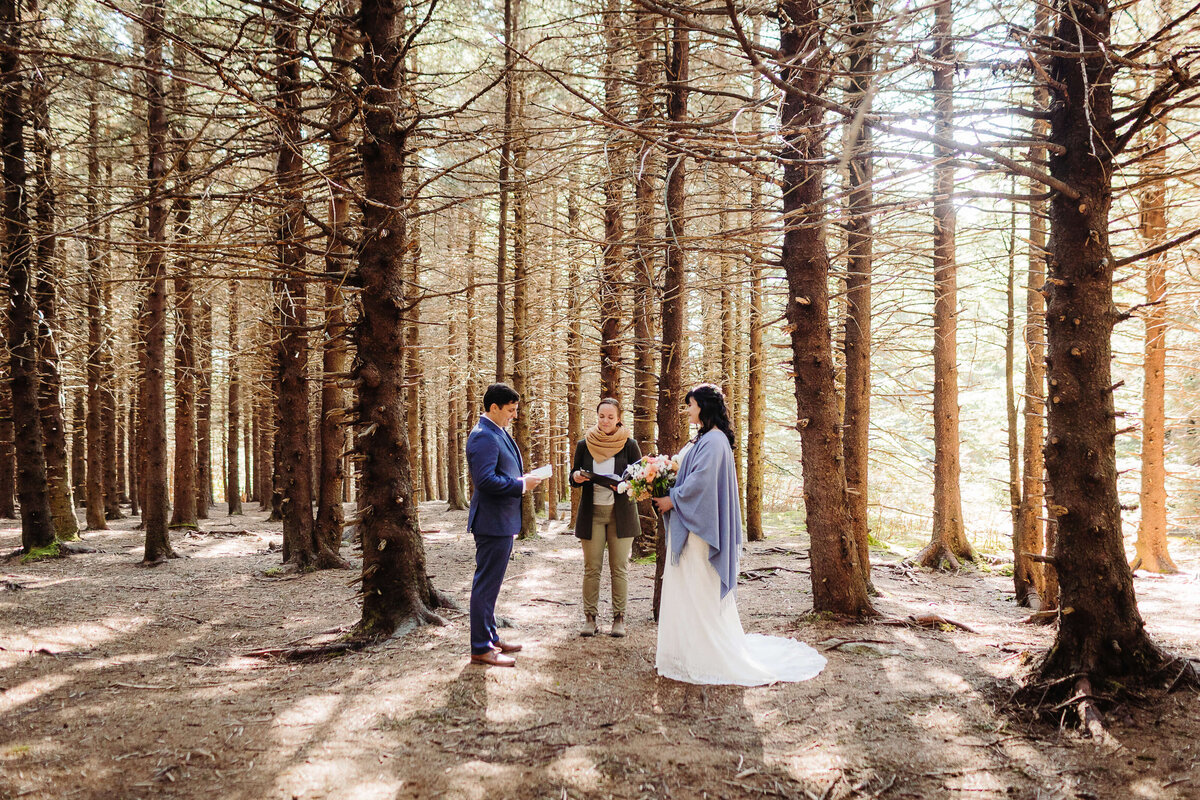 Black-Balsam-NC-Elopement-16