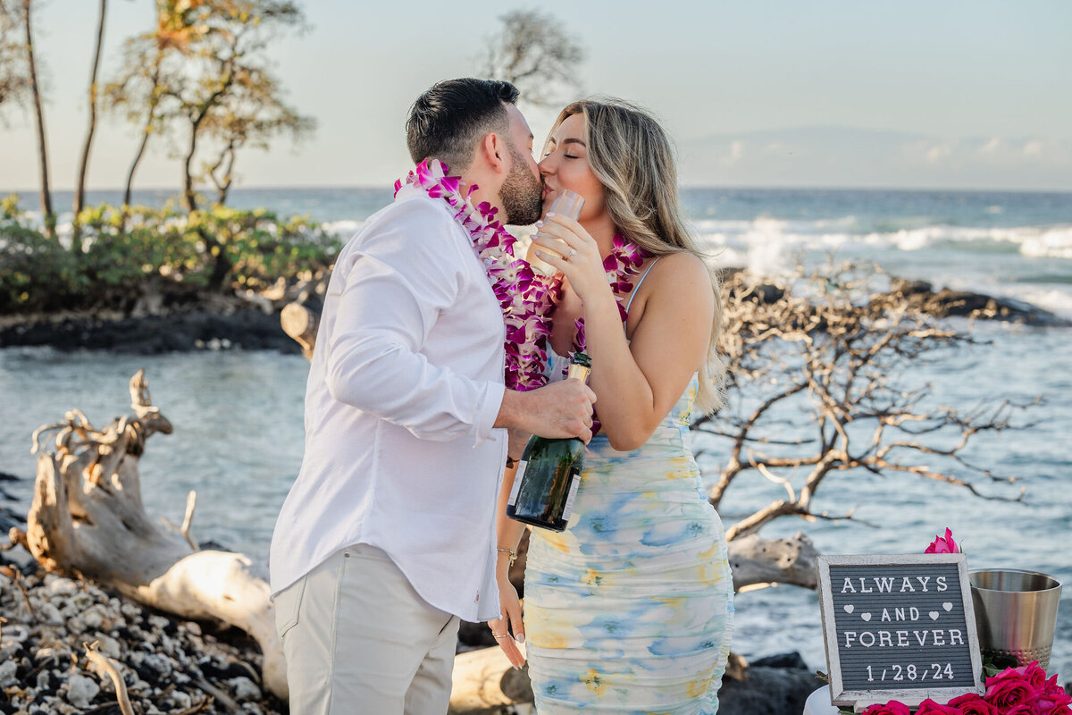 Hawaii-Proposal-Big-Island-Engagement (37)
