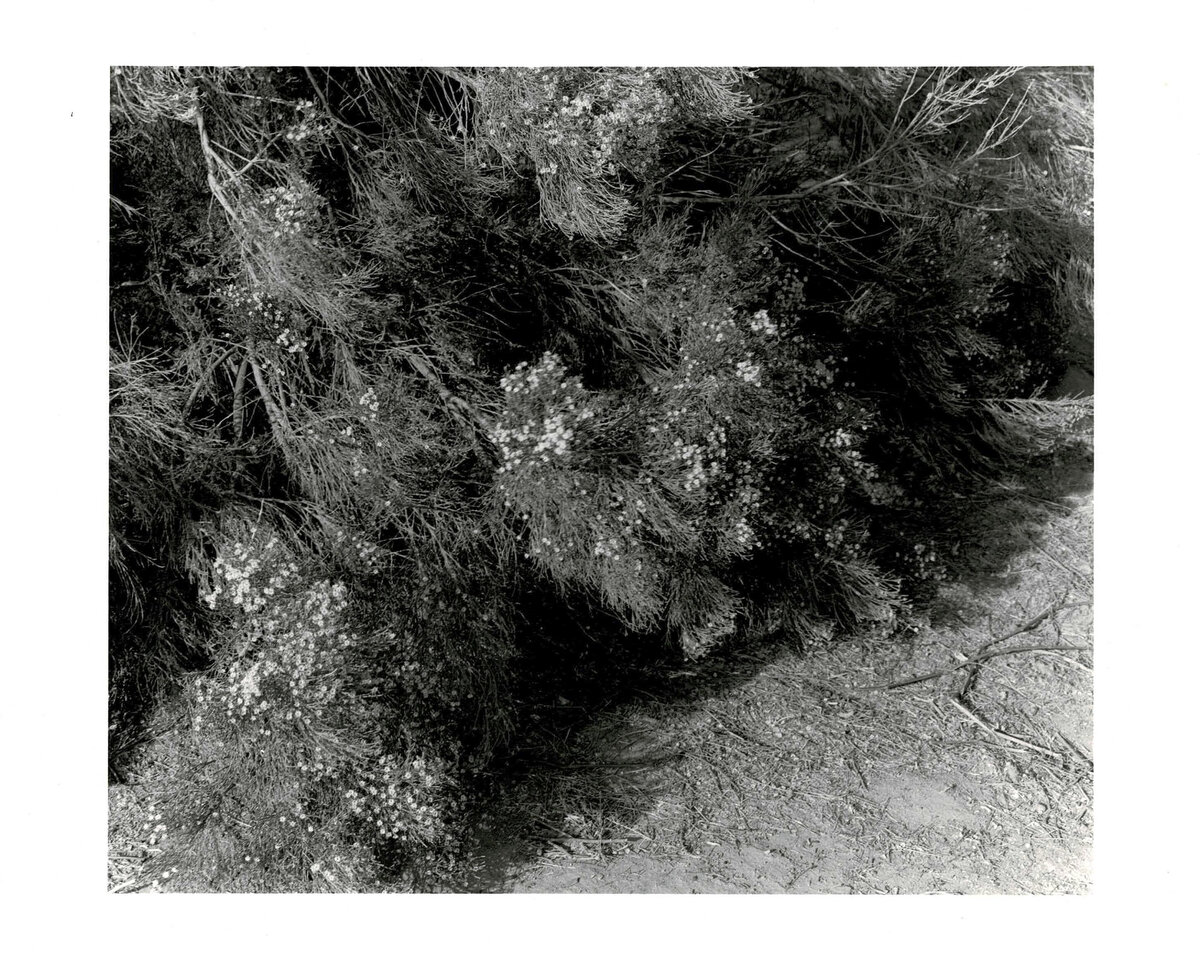darkroomprintscan-40