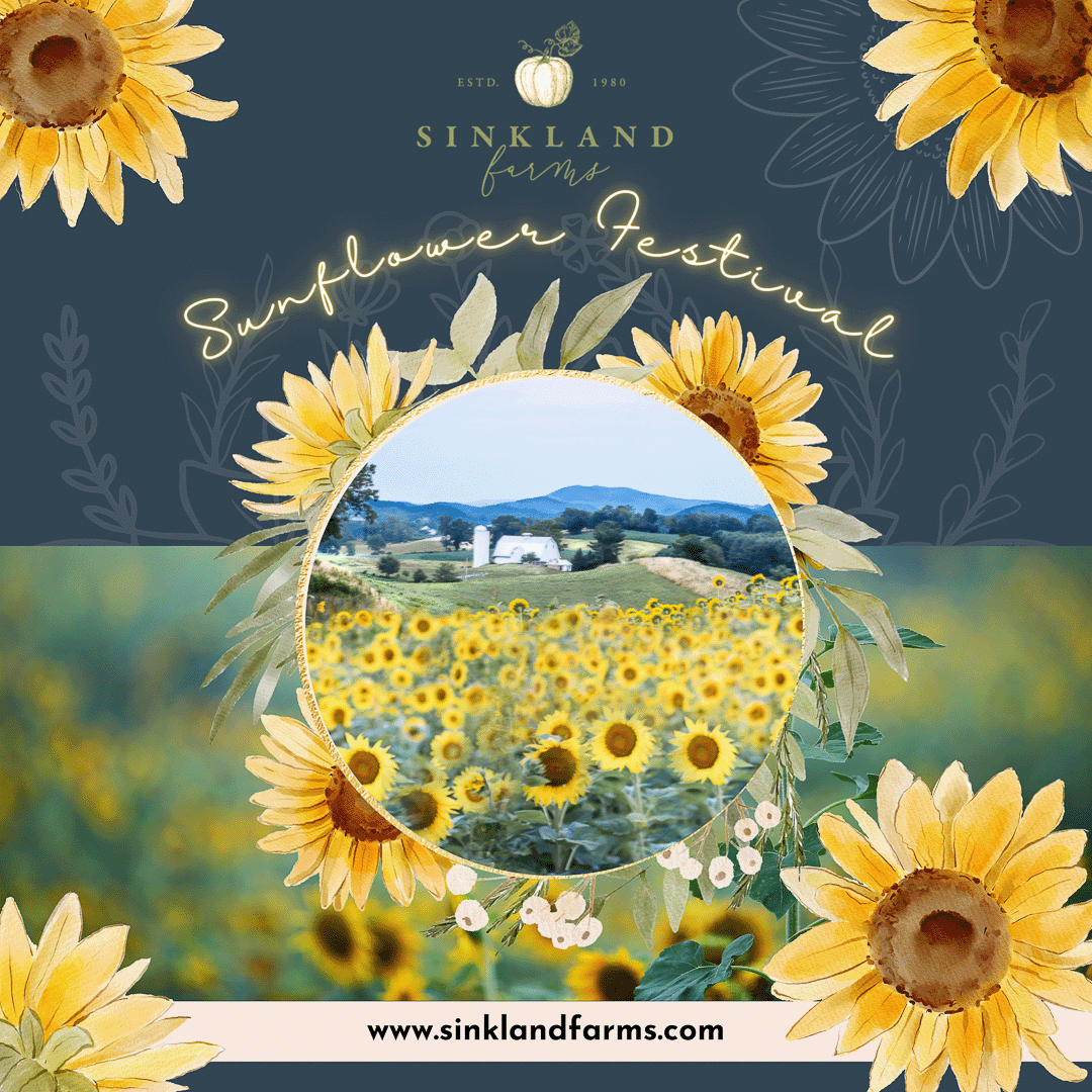 Sinkland-Farms_sunflower-festival_blue-ridge-mountains_sm--3