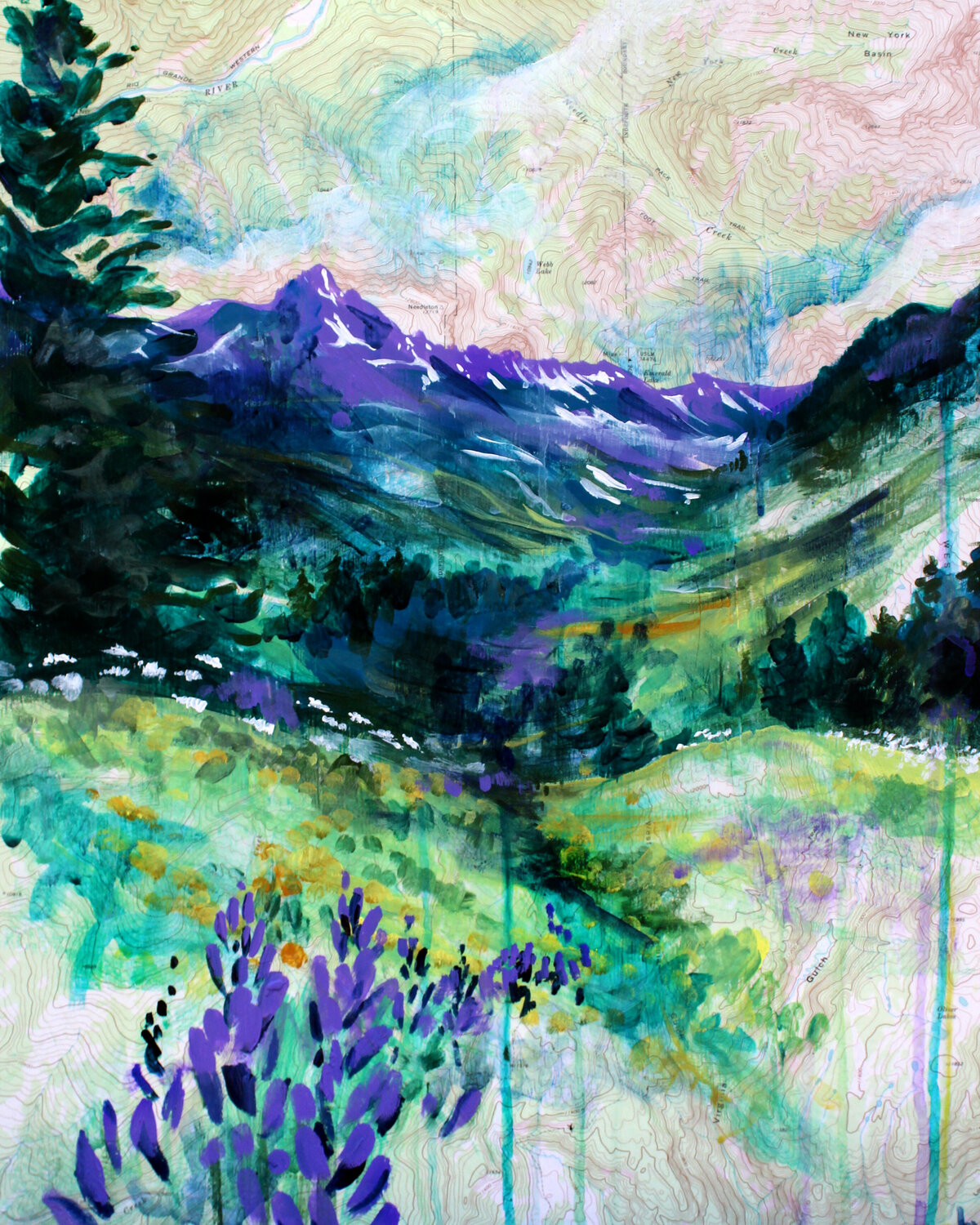 lupine and mountains
