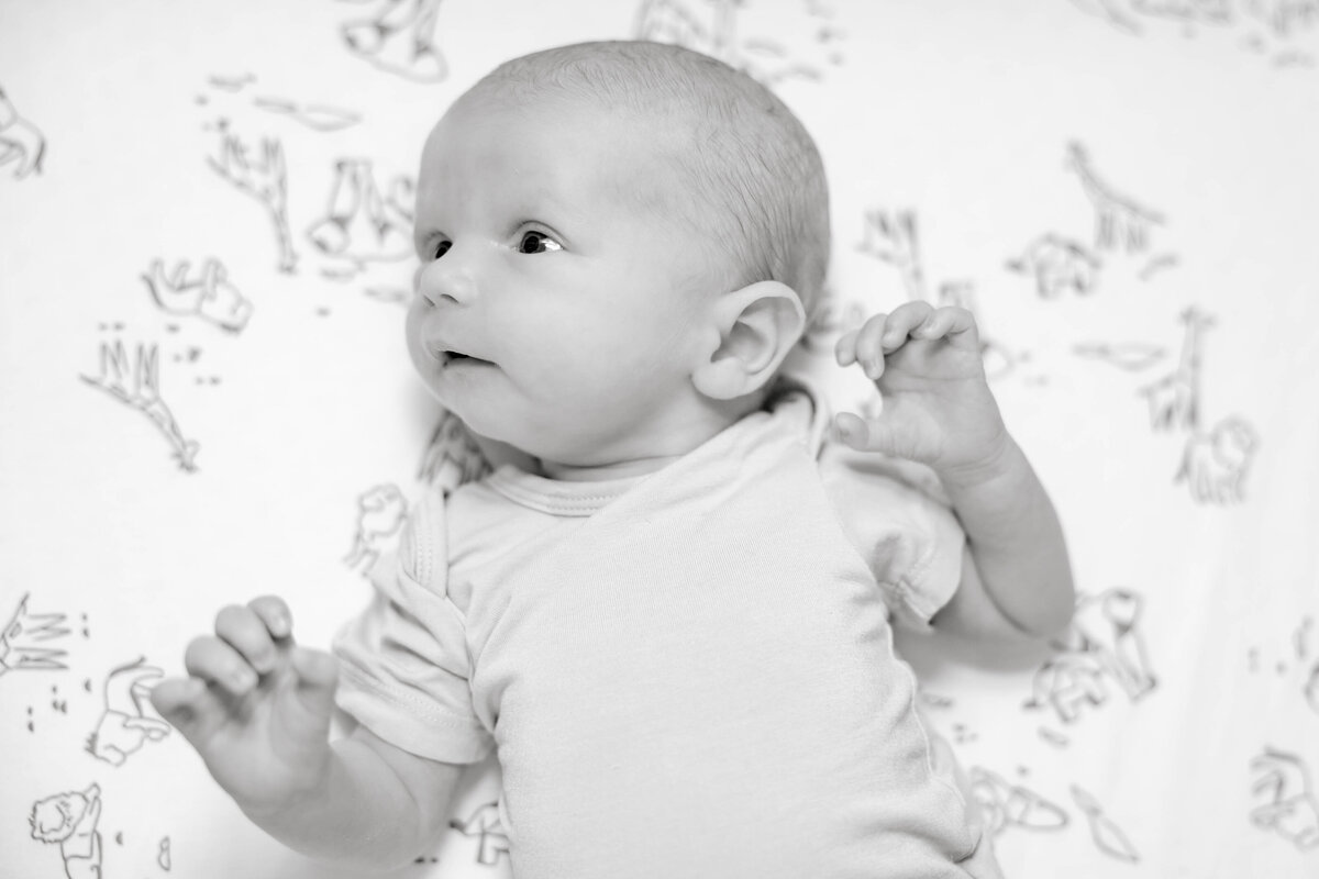 Powell Newborn-46
