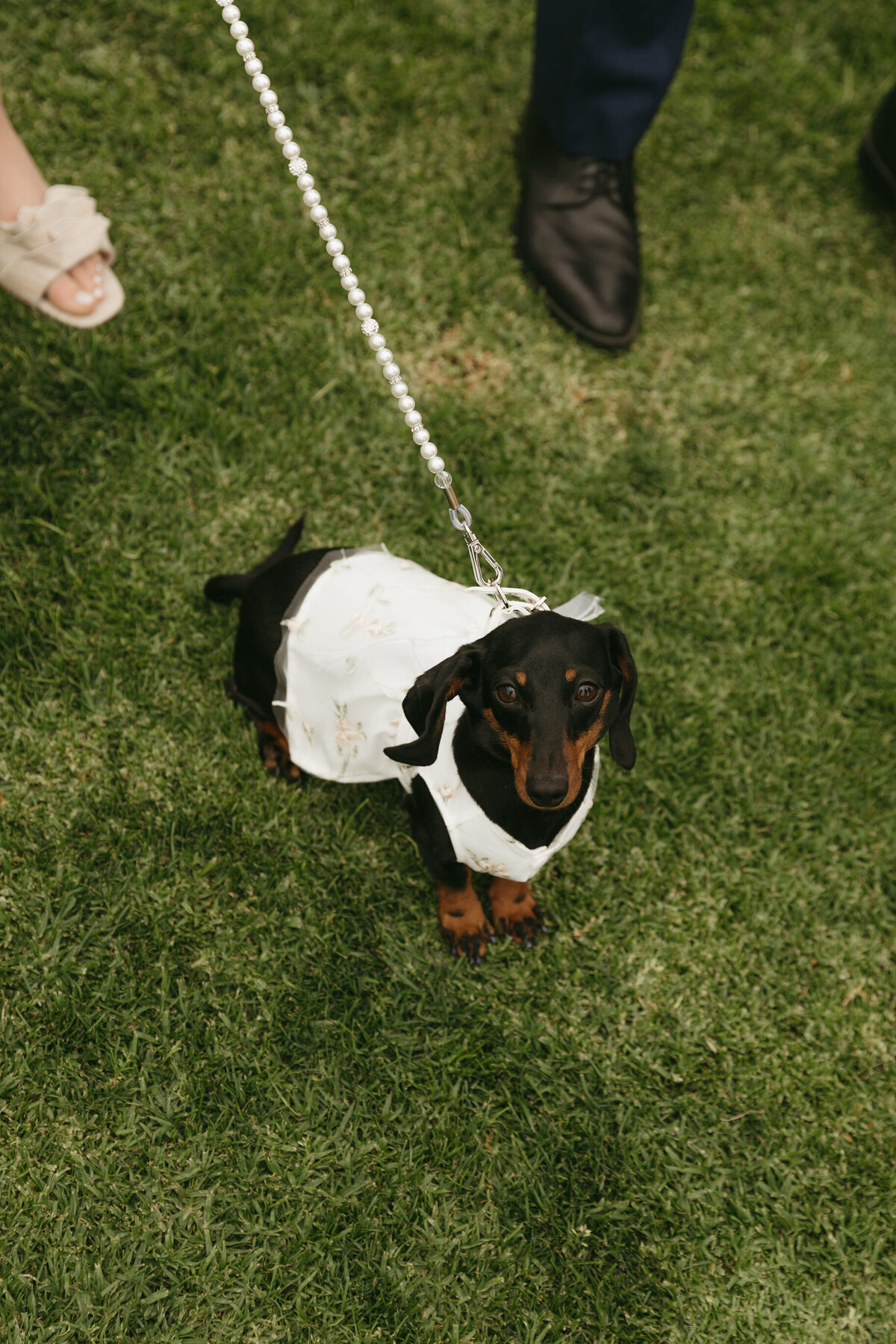 pretty-palm-leaf-event-co-rebekan-and-ben-wedding-ole-hanson-7