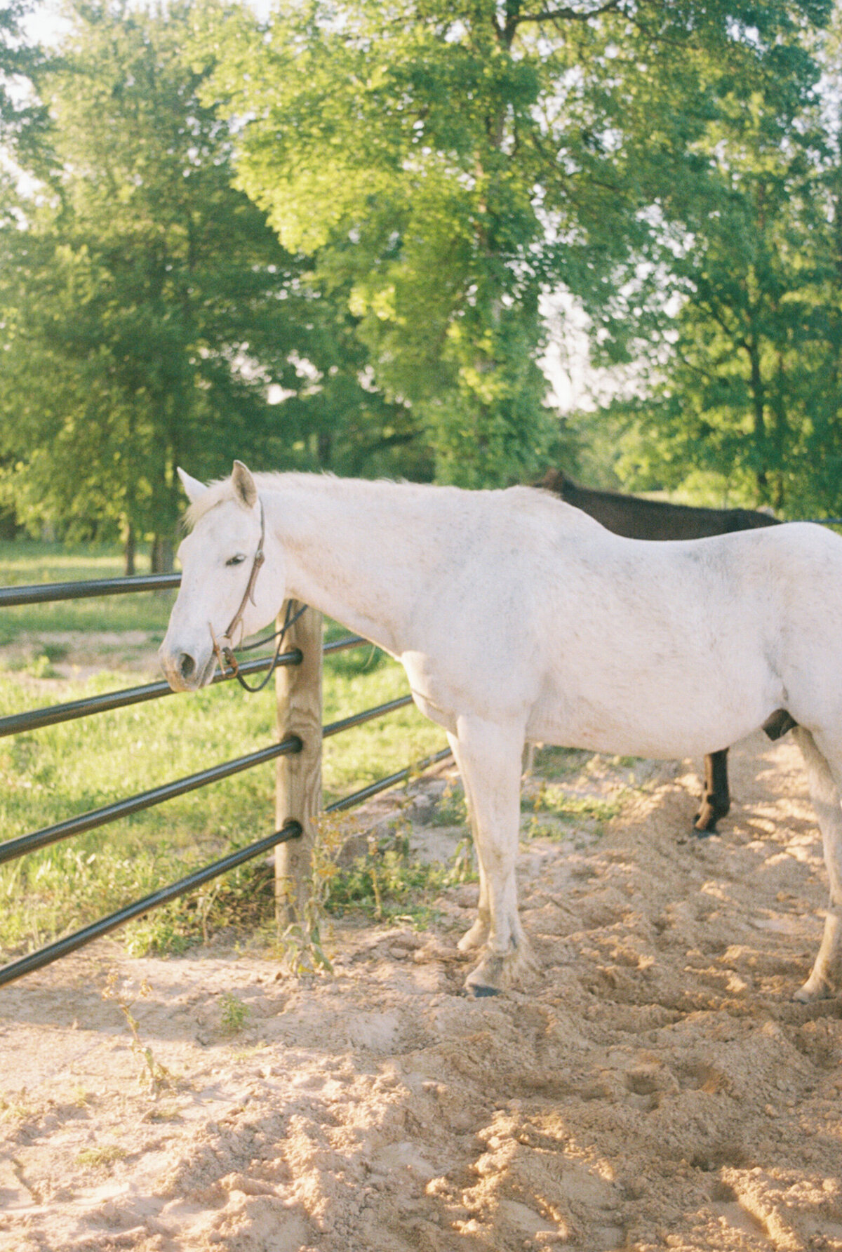 mackenziekatephoto-13