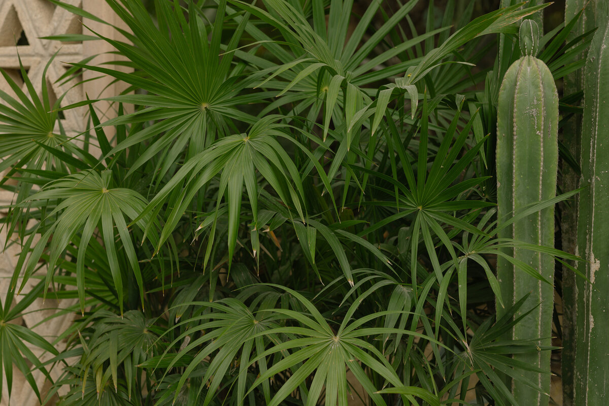 ACRE RESORT WEDDING- 2