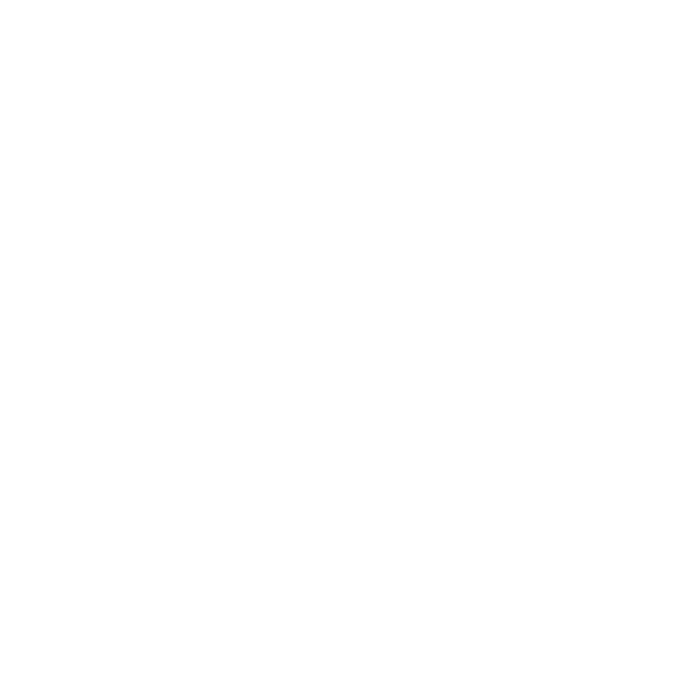Wedding Photographer Miami Priscila Del Cristo Logo