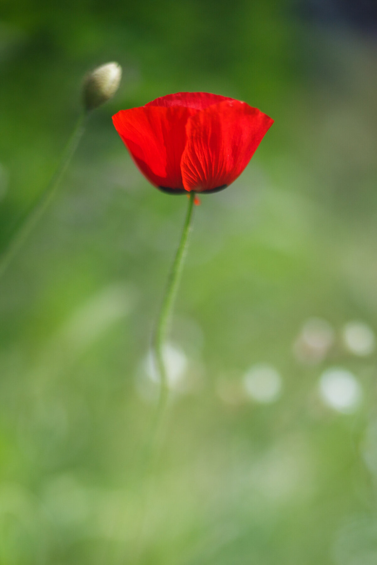 fine_art_photographer _073