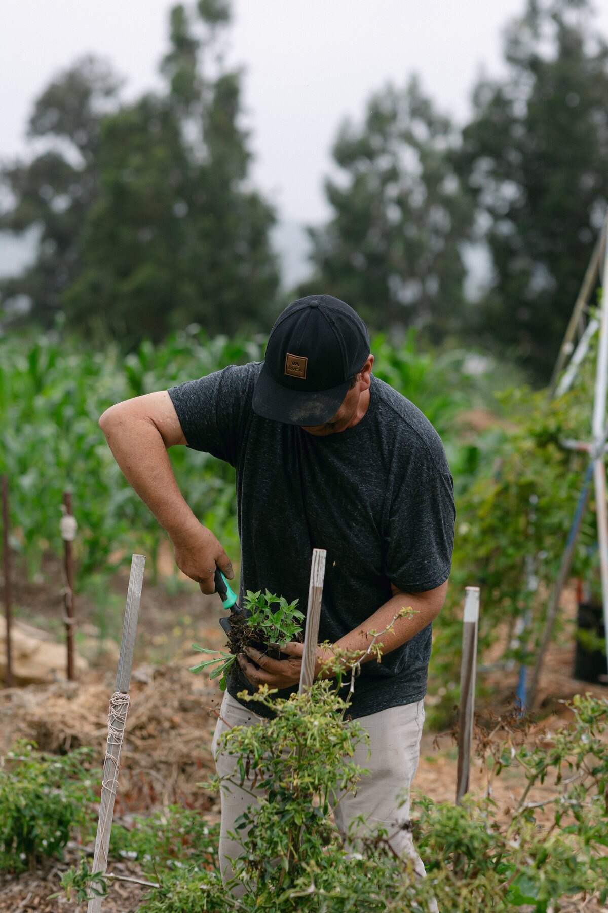 Leap-Lab-Science-Farm-Ventura-California-Santa-Paula-Non-Profit-0009