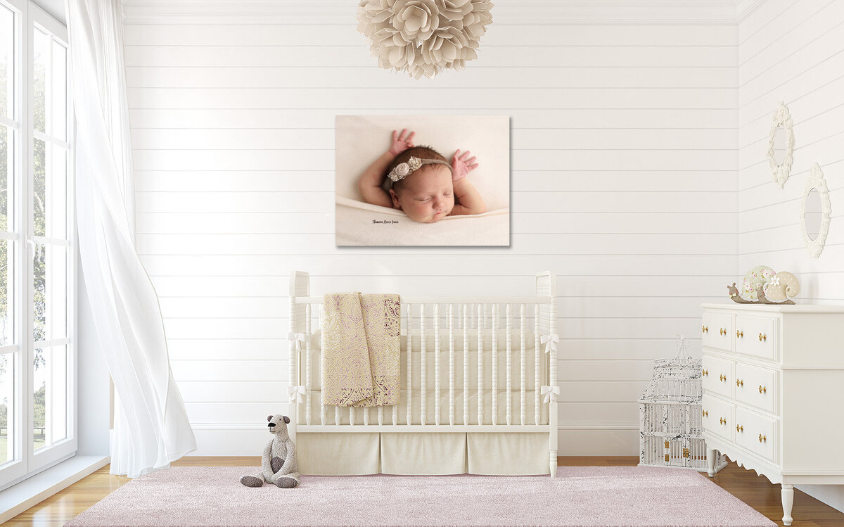 Newborn Baby Girl Canvas