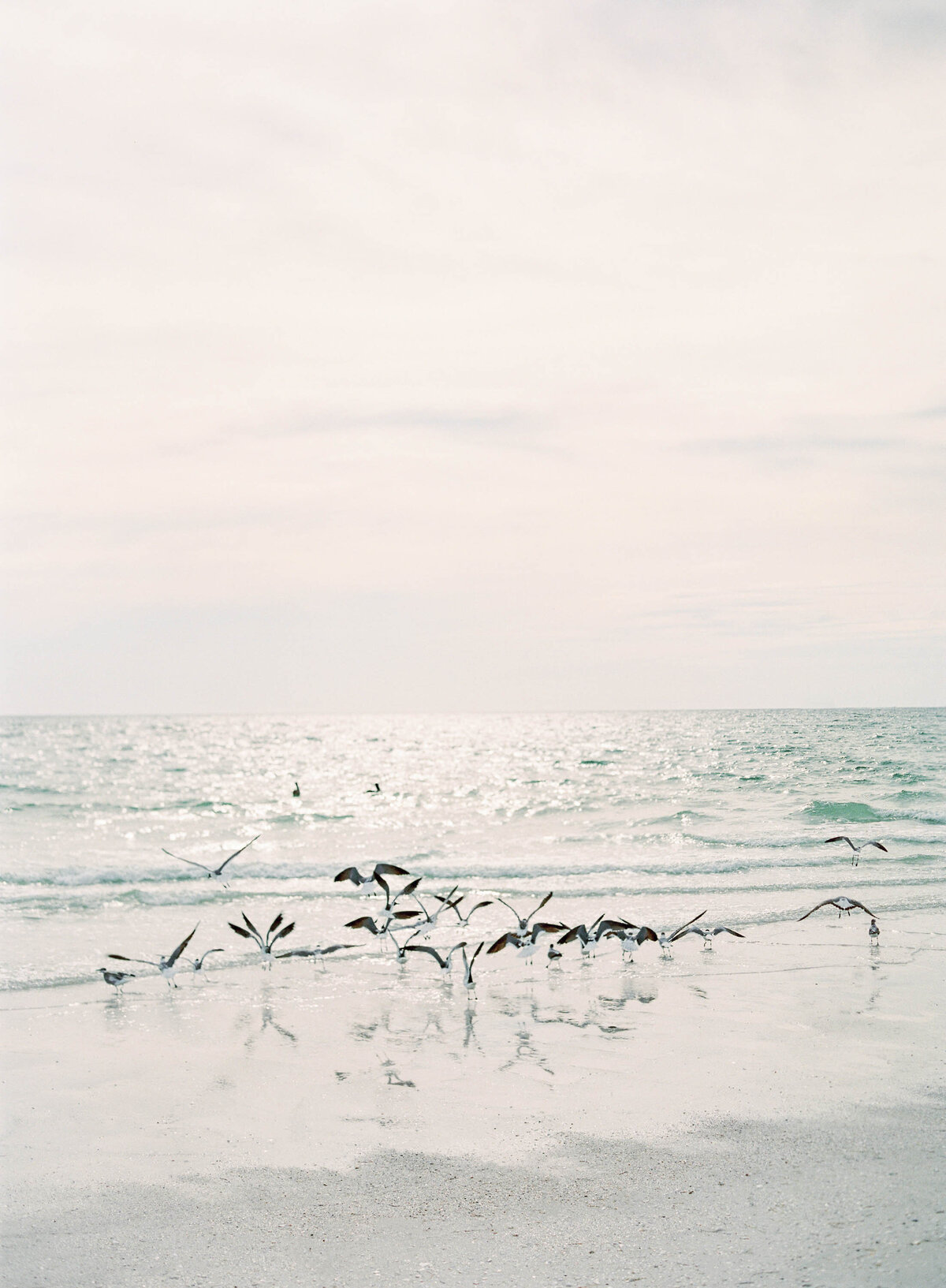 Barefoot_Beach_Elopement_Naples_Florida_Photographer-1
