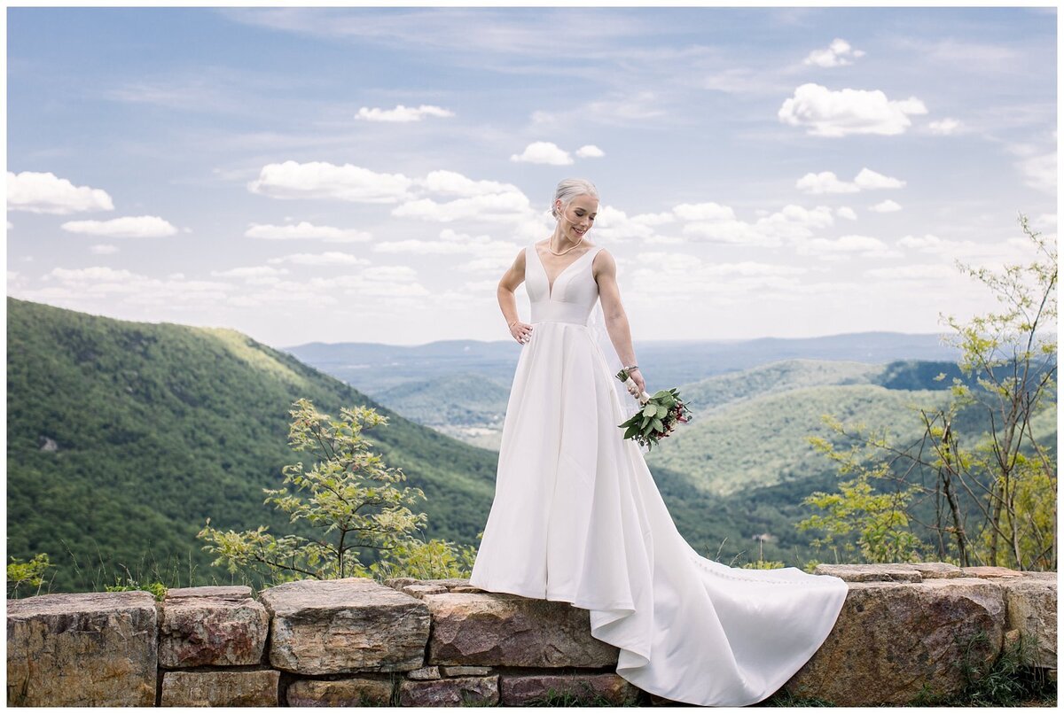 All Inclusive Wedding Virginia_0496