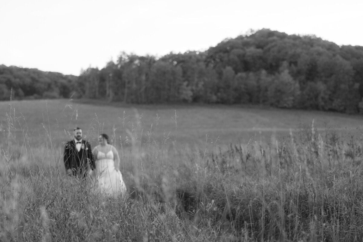 hidden-meadow-and-barn-pepin-wisconsin-wedding-2