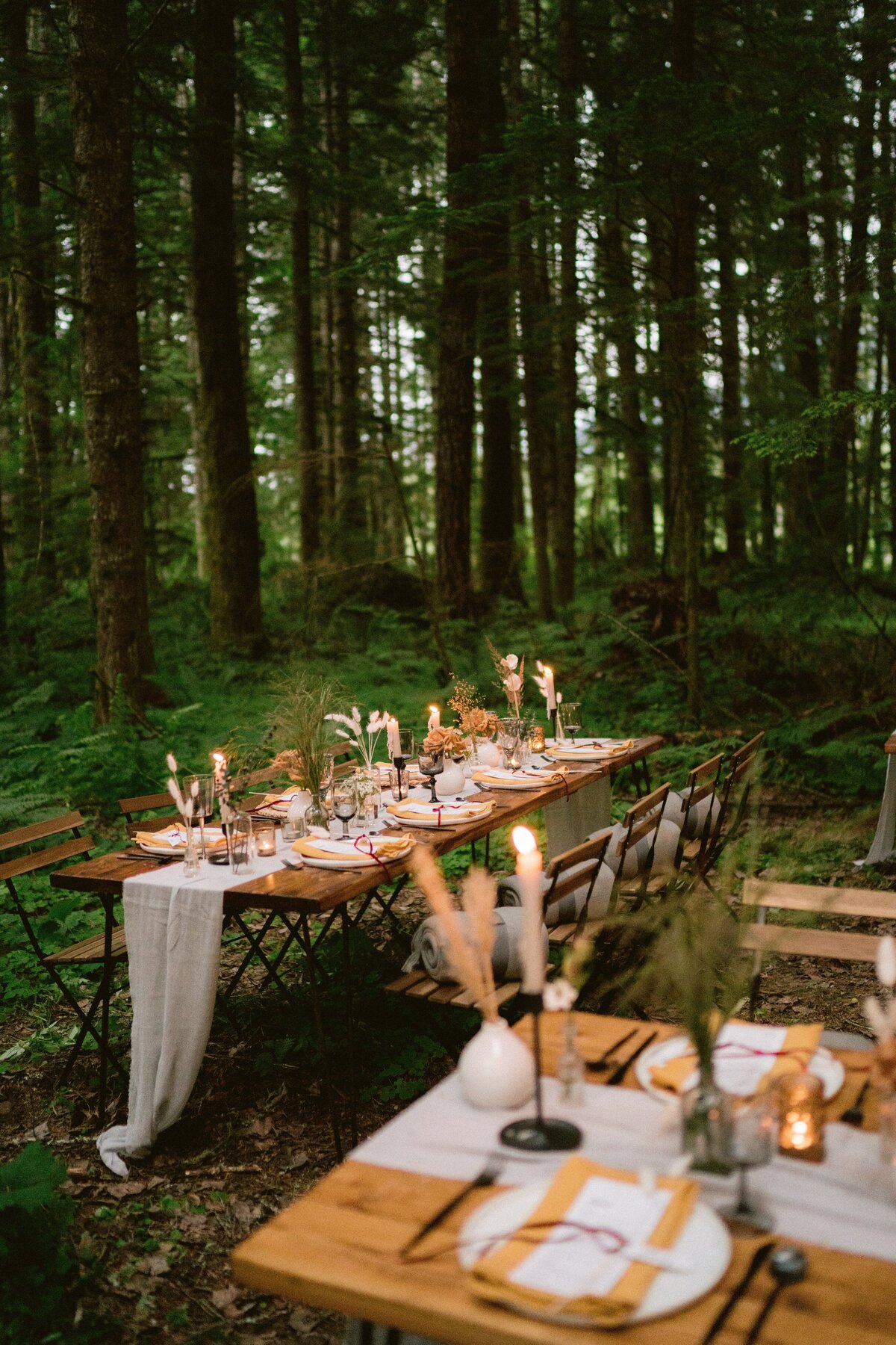 Mount Rainier National Park Intimate Wedding