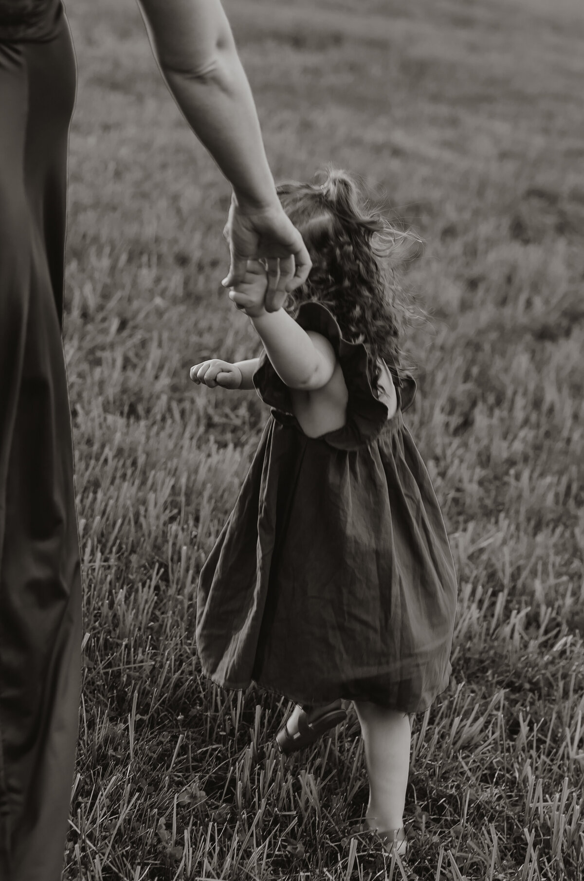 A black and white image by a New England Family Photographer captures a young child in a dress with curly hair, holding an adult's hand while strolling through a grassy field. The scene, viewed from behind, exudes timeless warmth and connection.