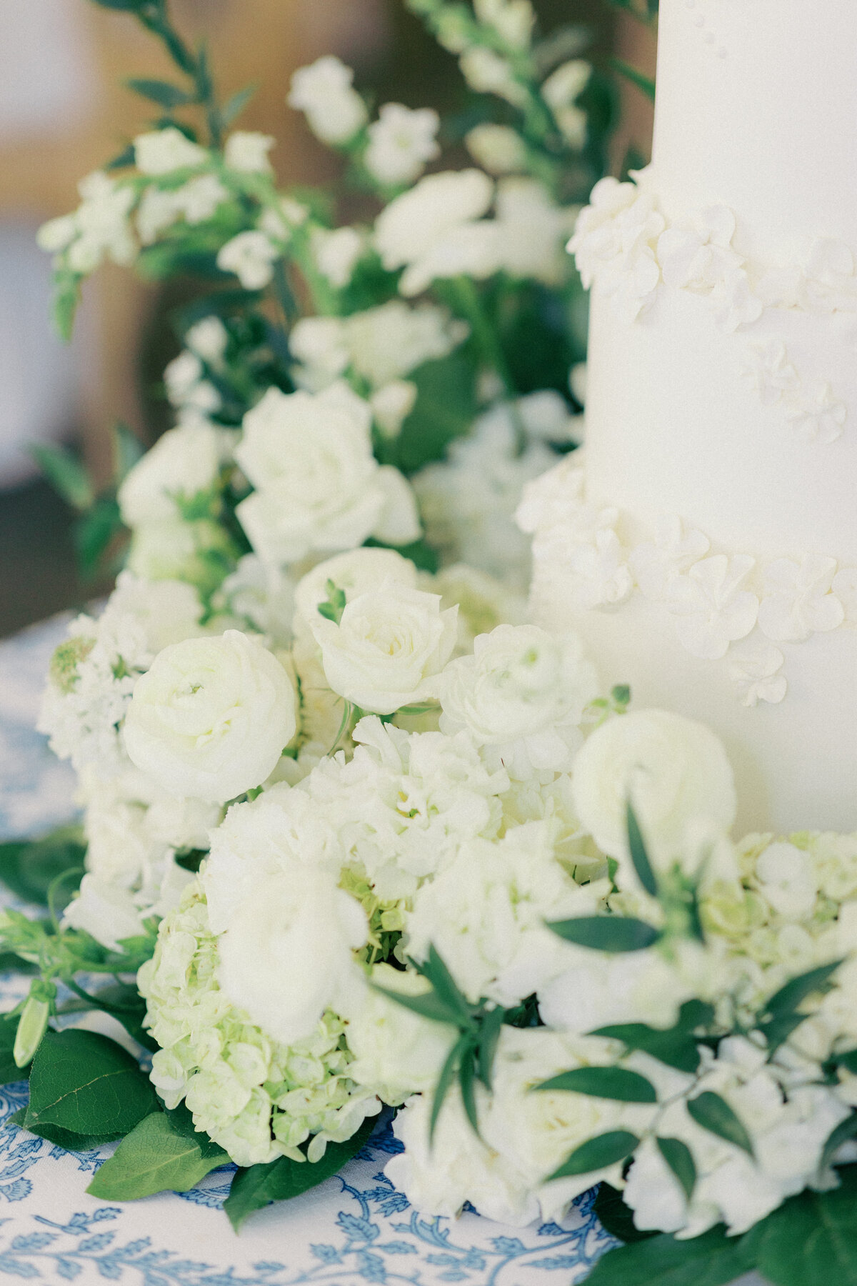 Rachel Linder Photography_SP-84