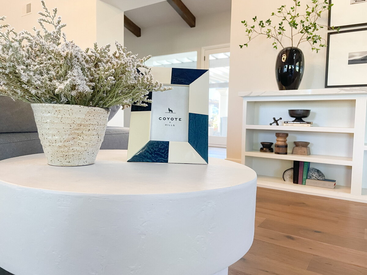 coffee table and shelving