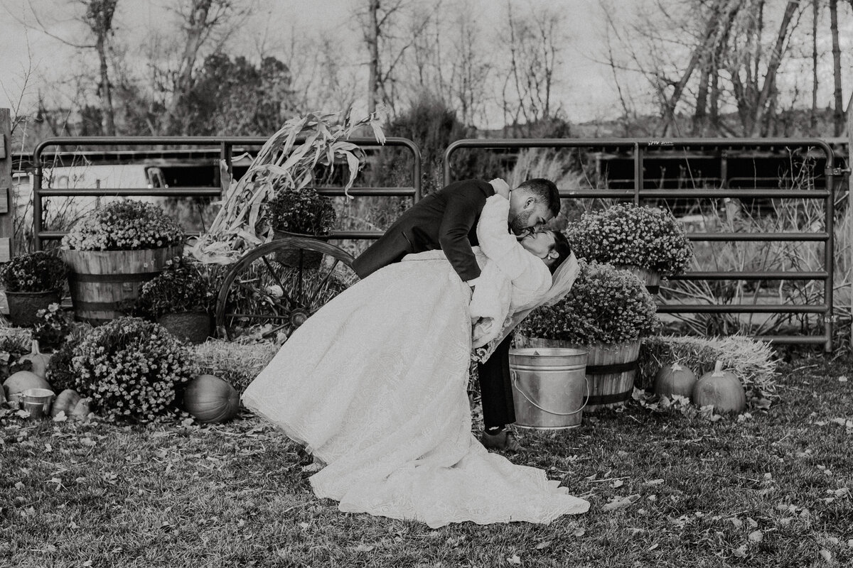Wedding Photography- Alison & Jacob- Chatifeld Farms- Littleton, CO-281