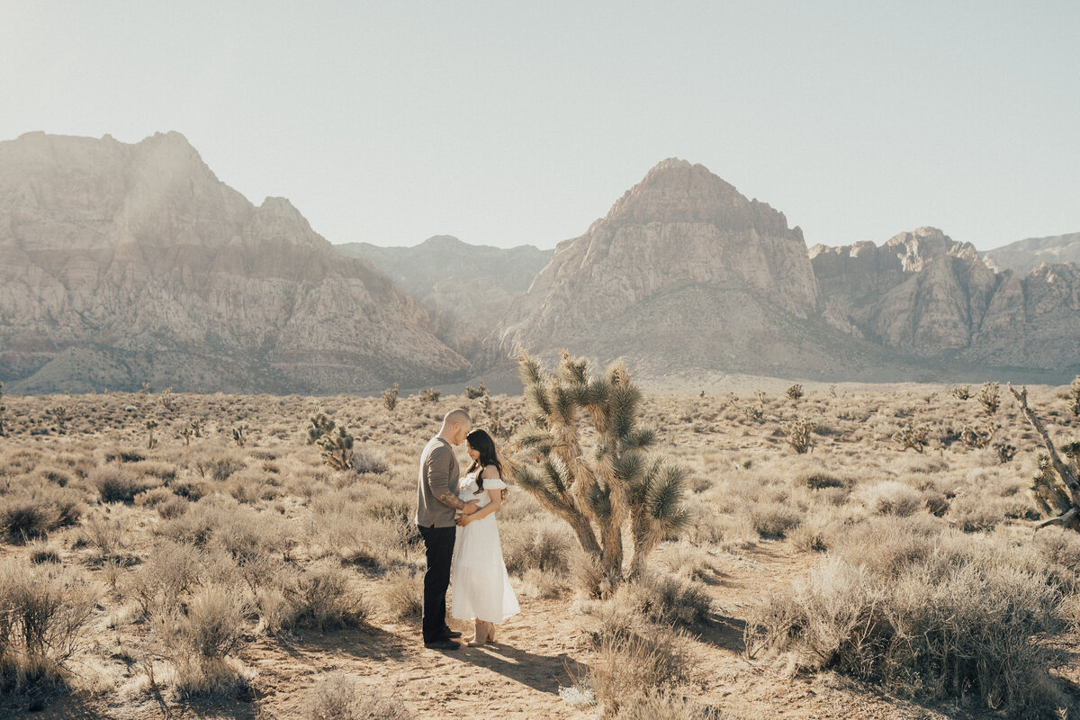 LAS VEGAS MATERNITY PHOTOGRAPHER-10