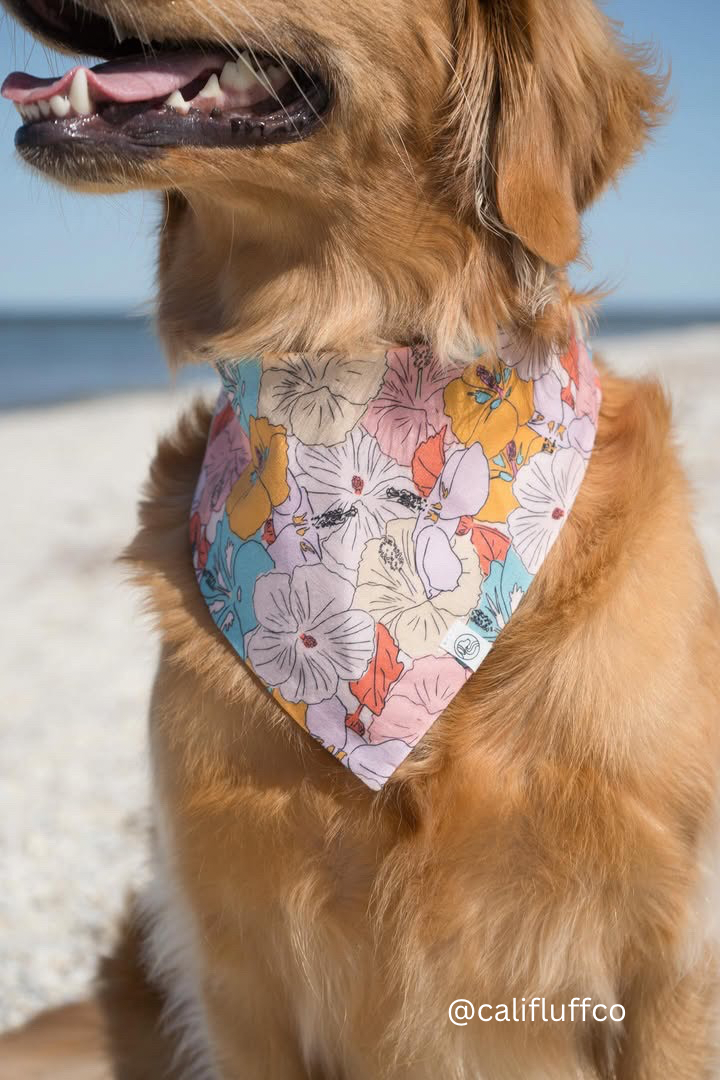 @califluffco