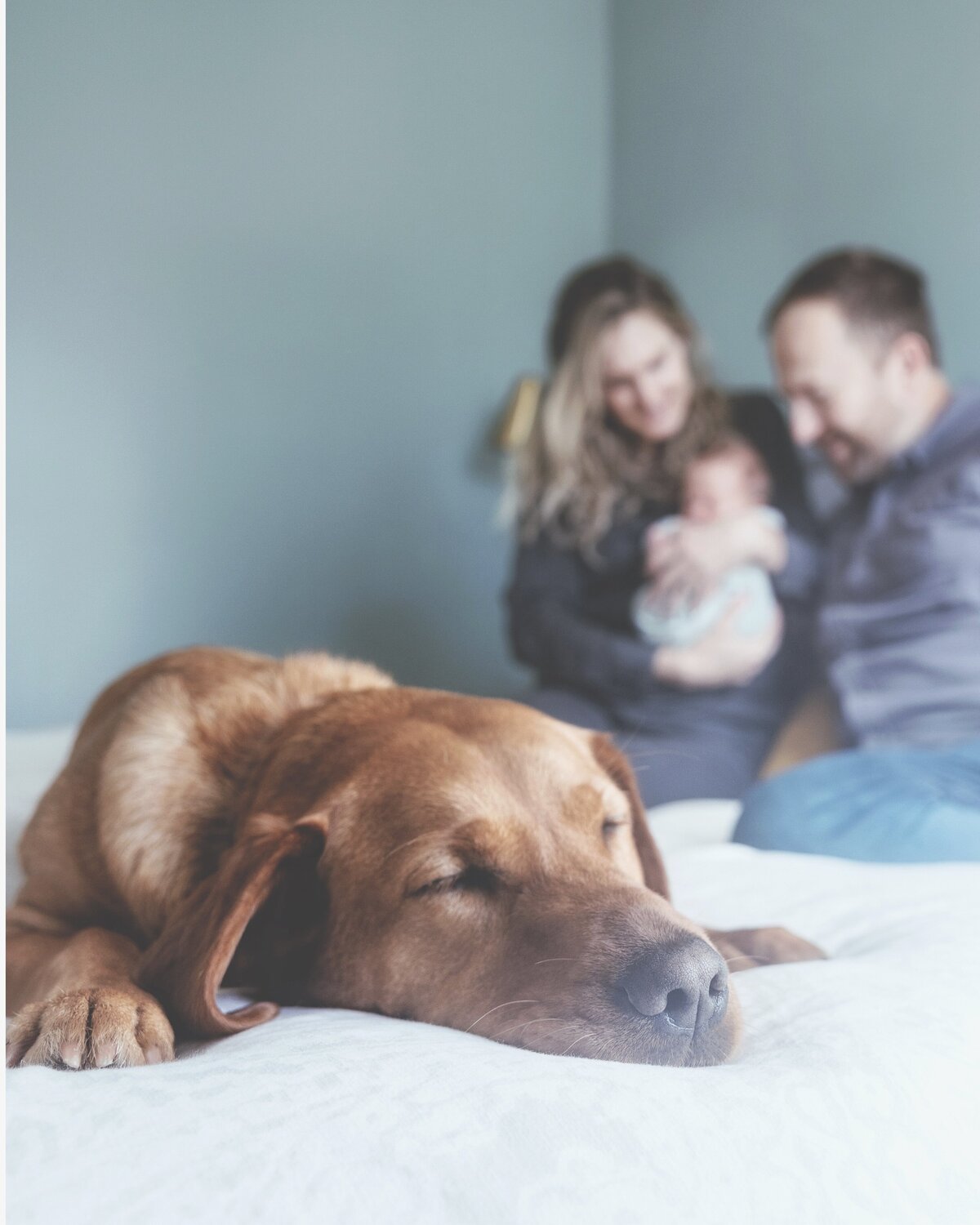 Couple hold their newborn baby in the background while their dog rests in the foreground