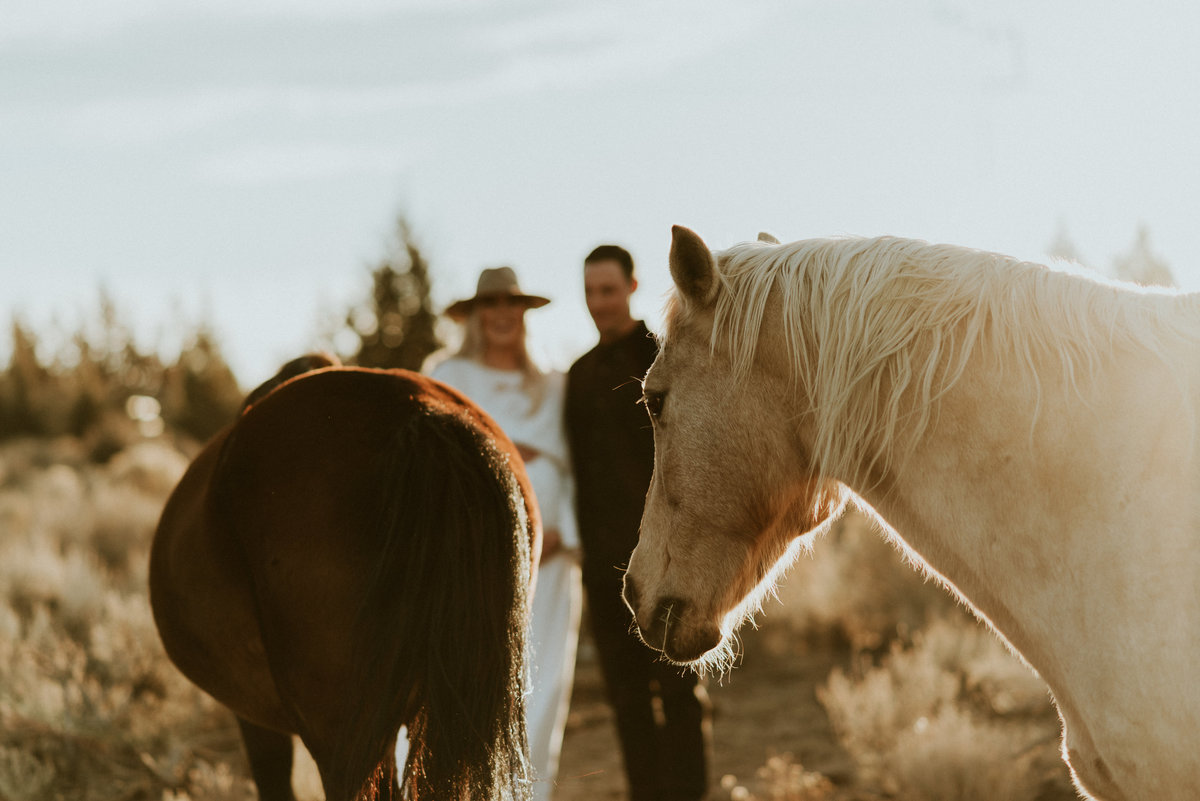 meredith_sands_photography_bend_oregon_portrait_photographer_horses_maternity_photo_shoot-5