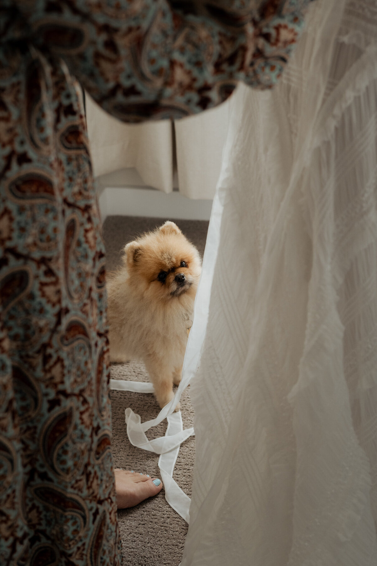 jamie-and-brian-chelsea-brown-photo-sunshine-coast-bc-wedding-photographer-32