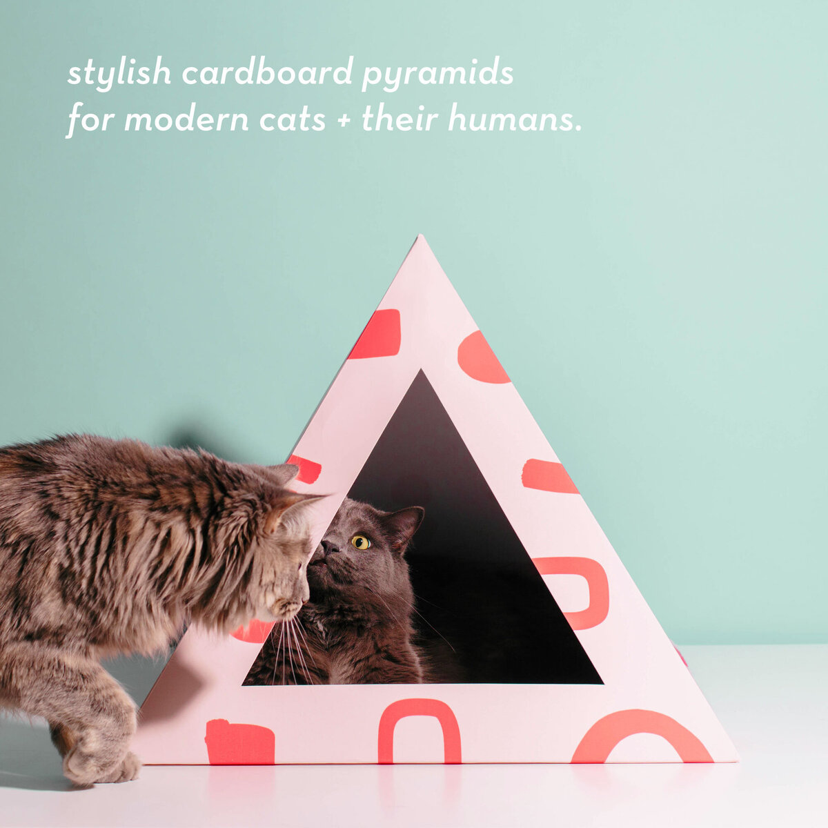 Rose-and-Palm-Studio_Portfolio_Kitty-Kardboard_Graphic-7