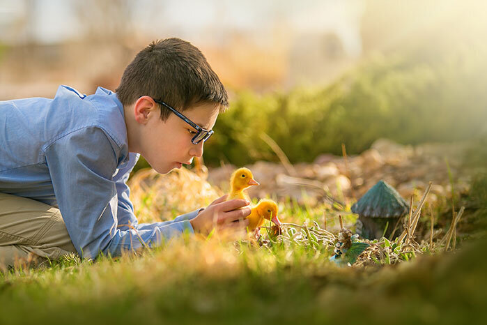ducks-duck-peking-ducklings-boy-pet-hobby-farm
