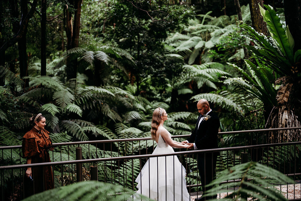 Margan_Photography_Australian_National_Botanic_Gardens-76