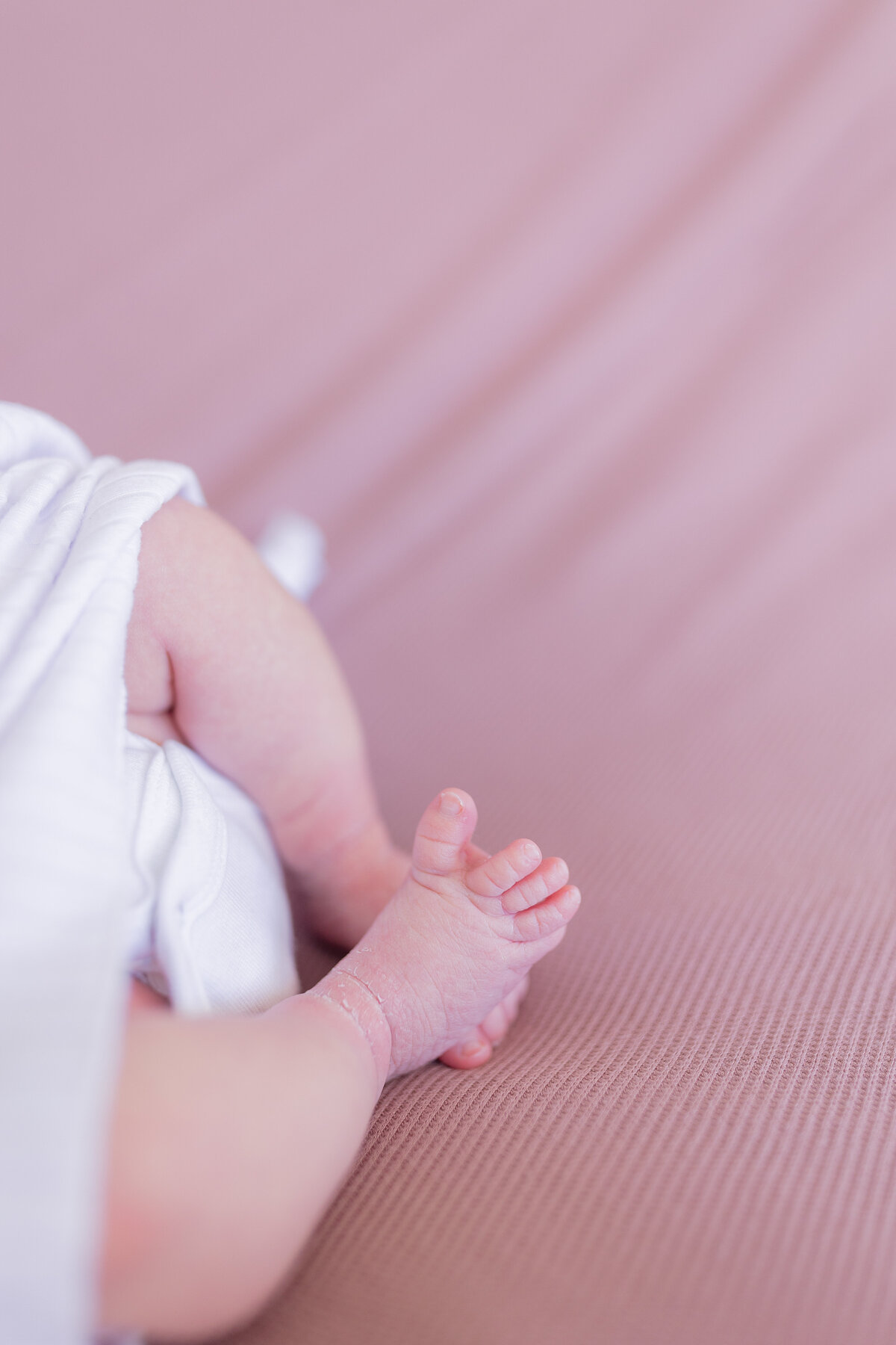 Evelyn Claire-160