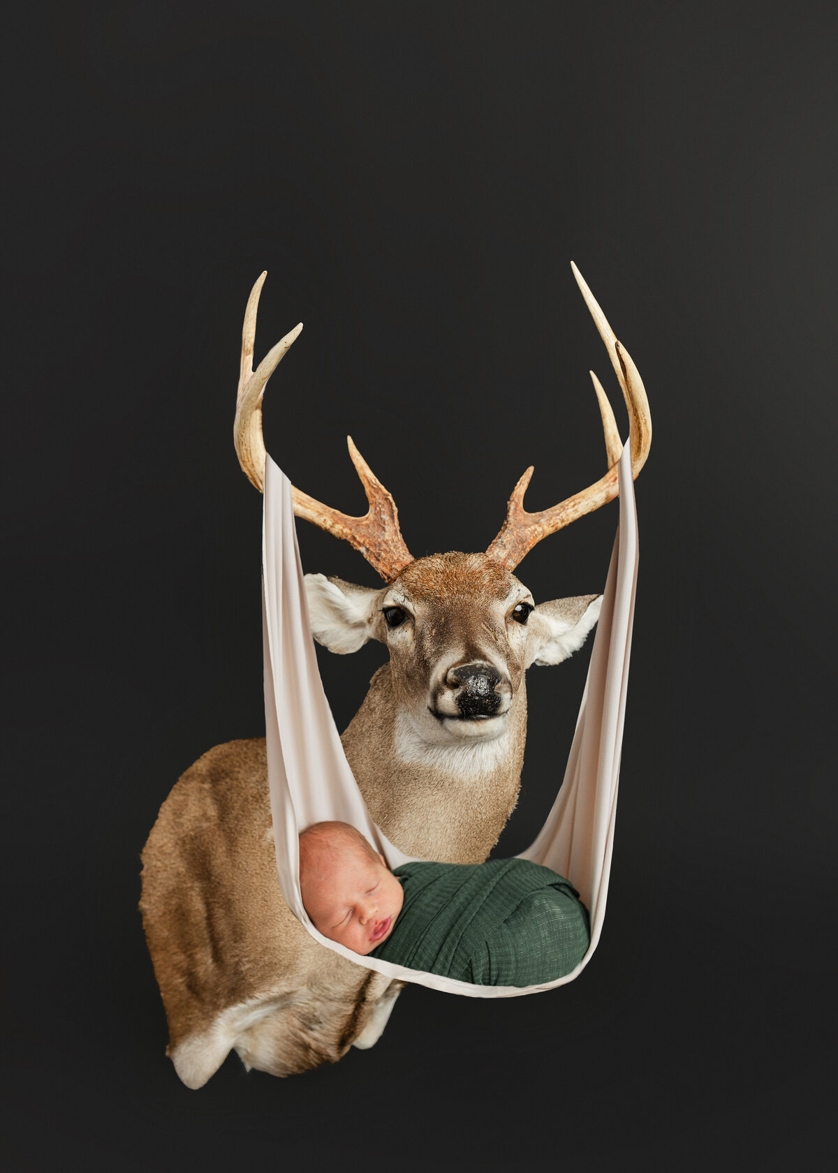 deer