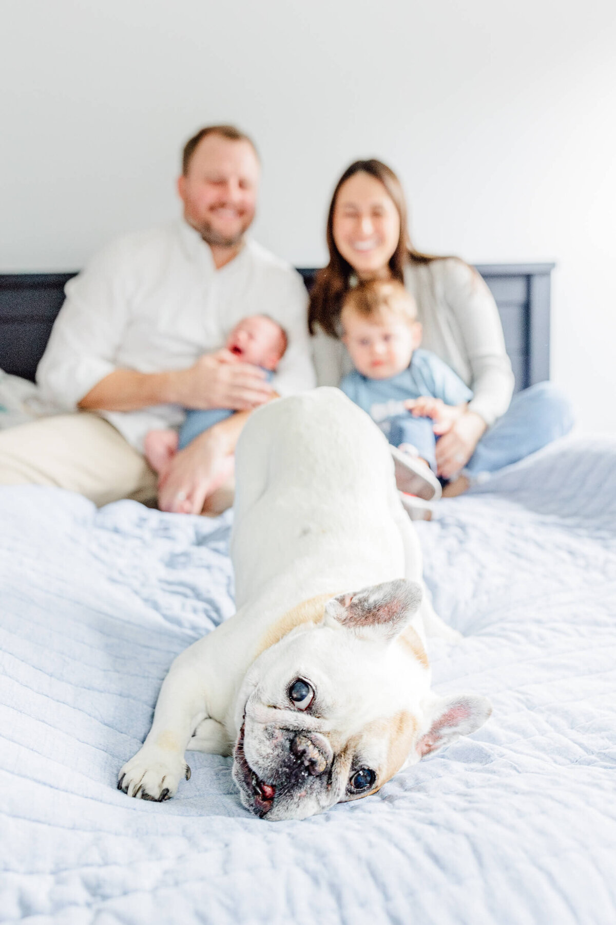 A dog wiggles while parents laugh in the background while holding their toddler and newborn