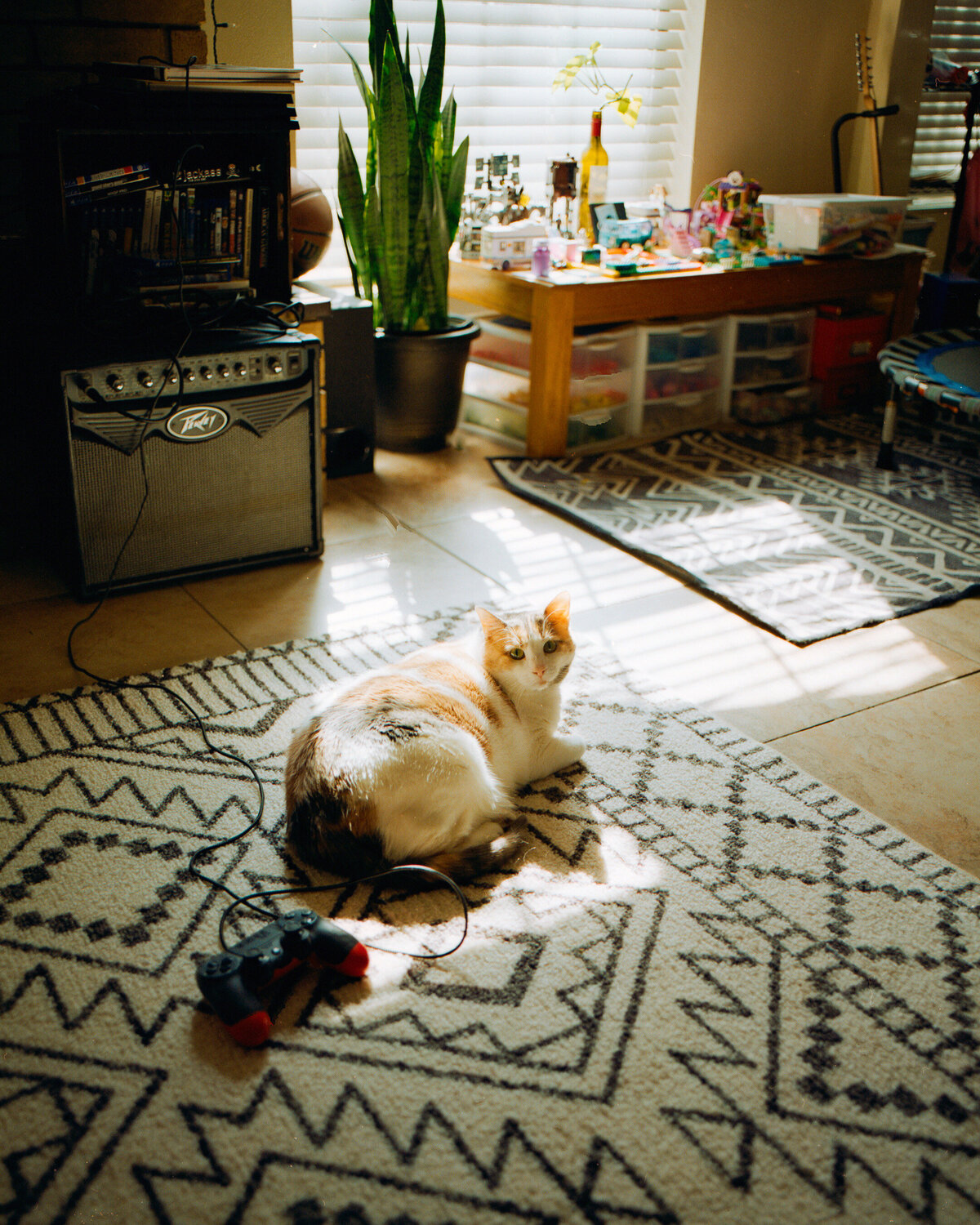 7F3FF71A-D95C-4C92-AFB8-095FCFEDA4AE