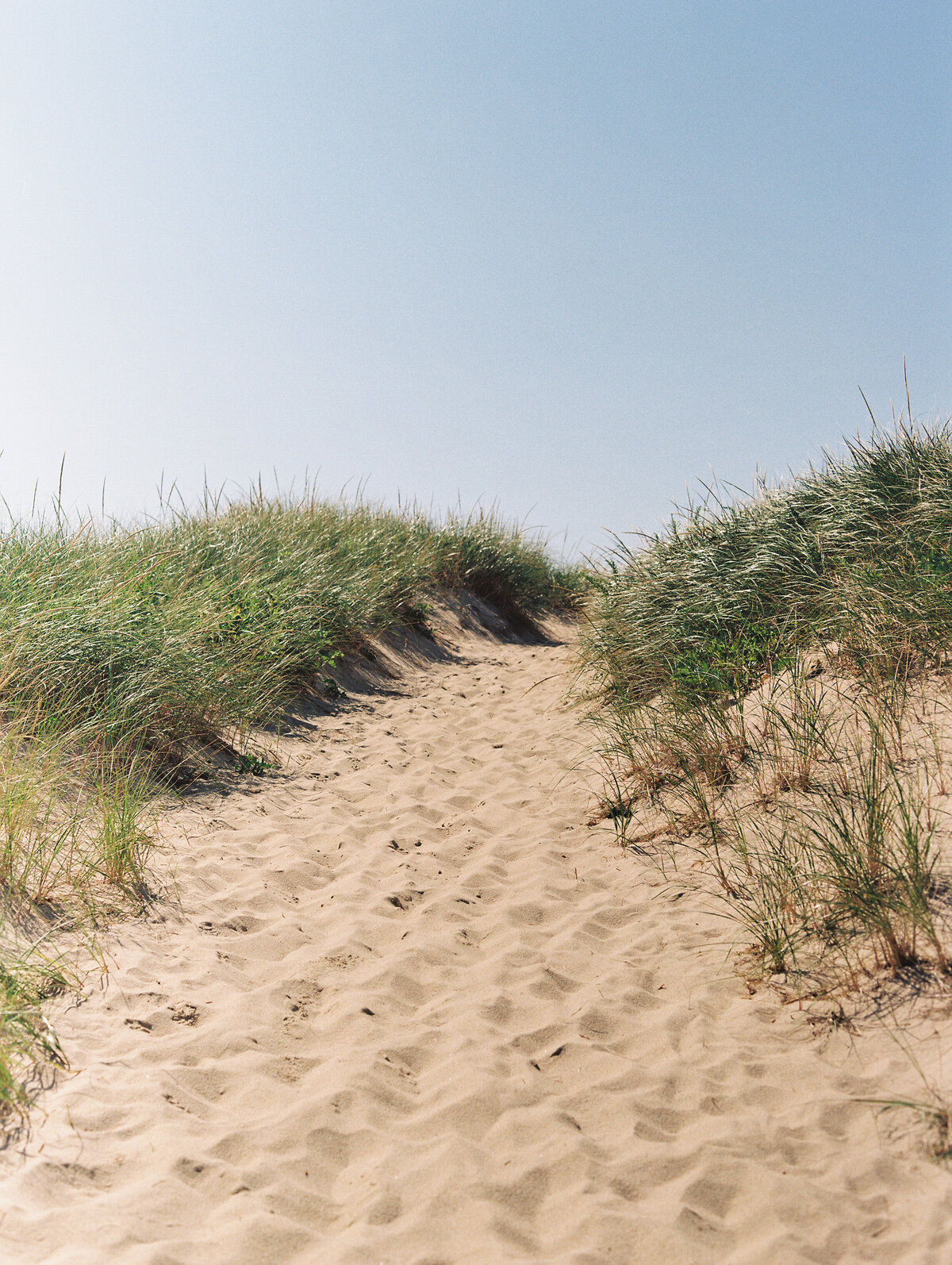 sandy-beach-path