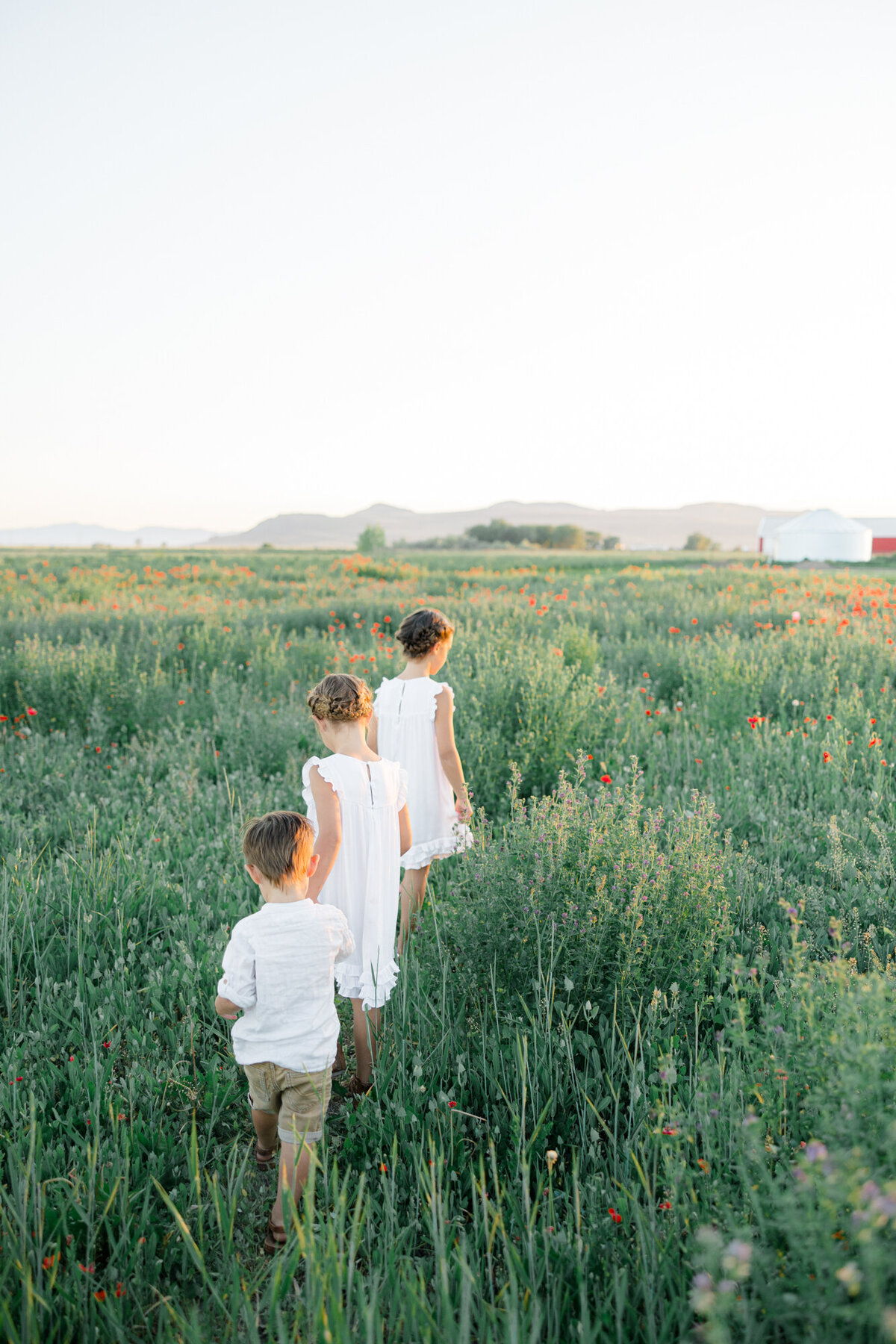 Poppy Field Family Photos-30