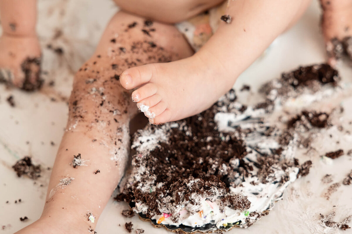 A fully smashed cake at the end of a one year portrait session.