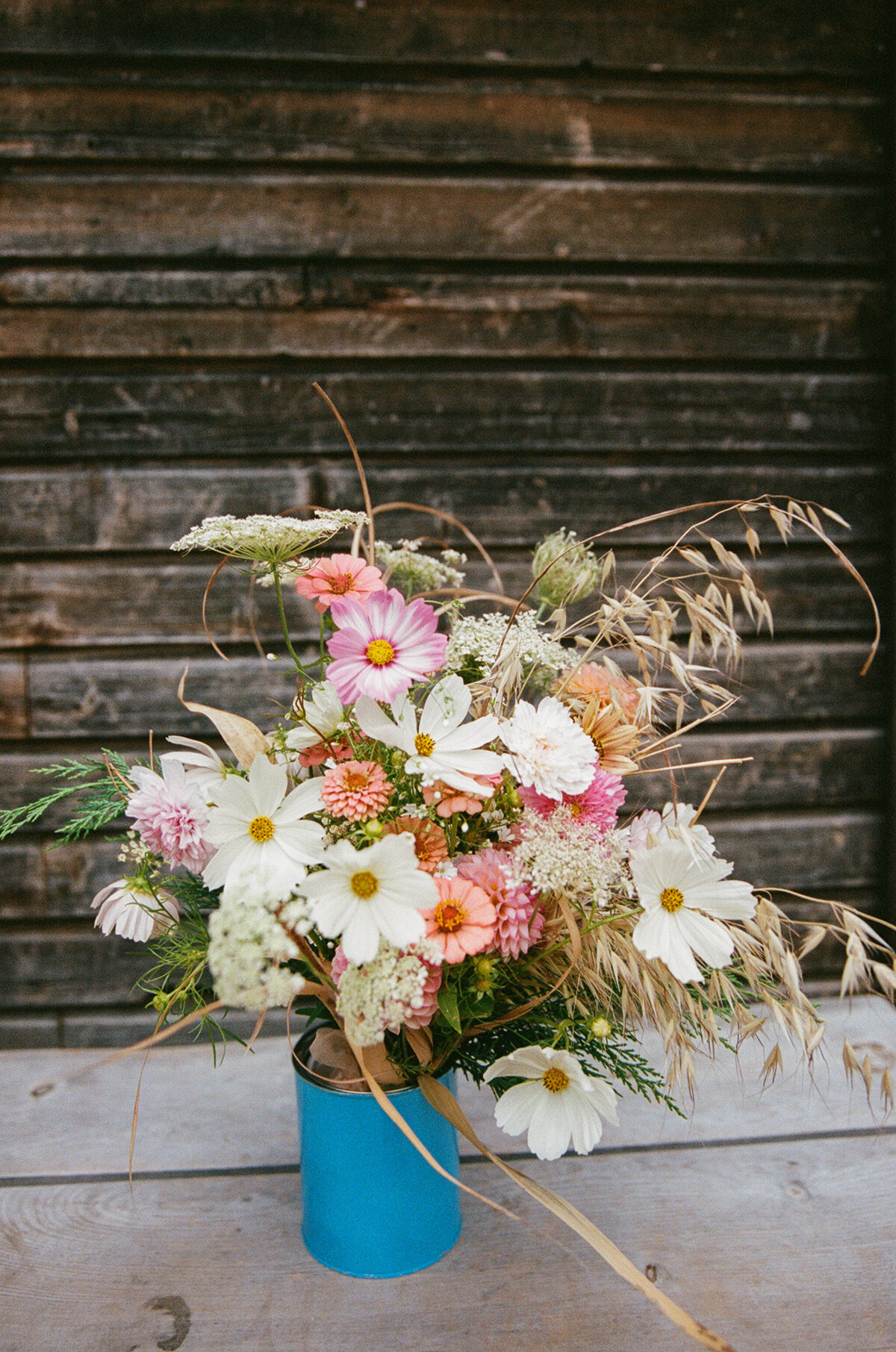 AyshShaunDolomites-Film-1