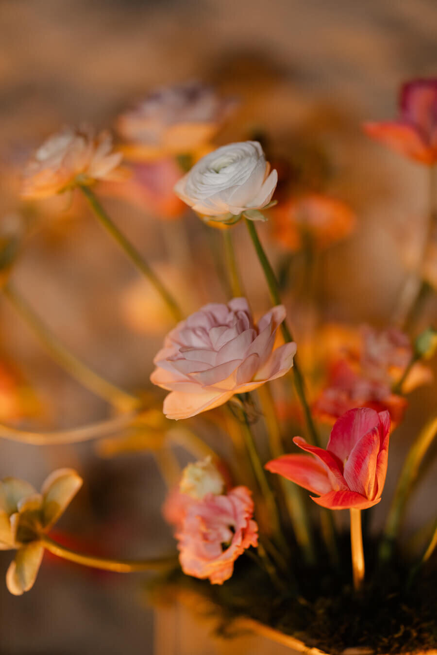 Chateau_Malliac_wedding_photography-231