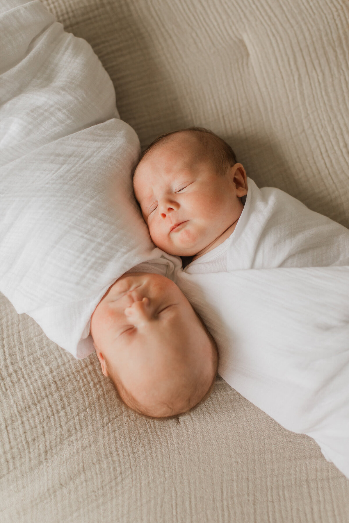 16 Lena Sophia Photography - Camas, WA Newborn Photographer