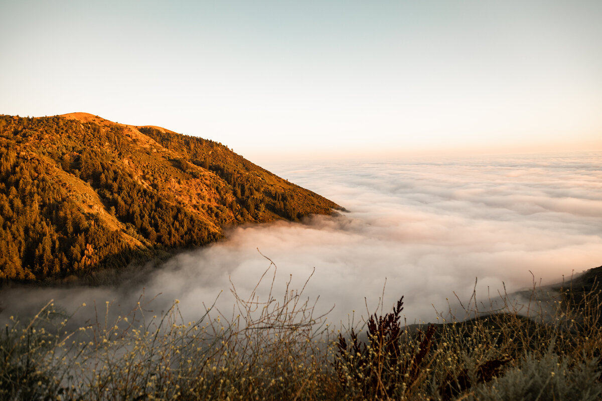 201907SanFranciscoDay2-104