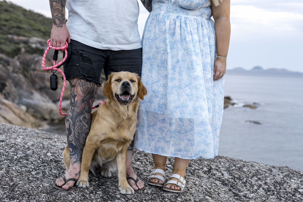Liminal-Wonderland-Surprisal-Proposal-Engagement012